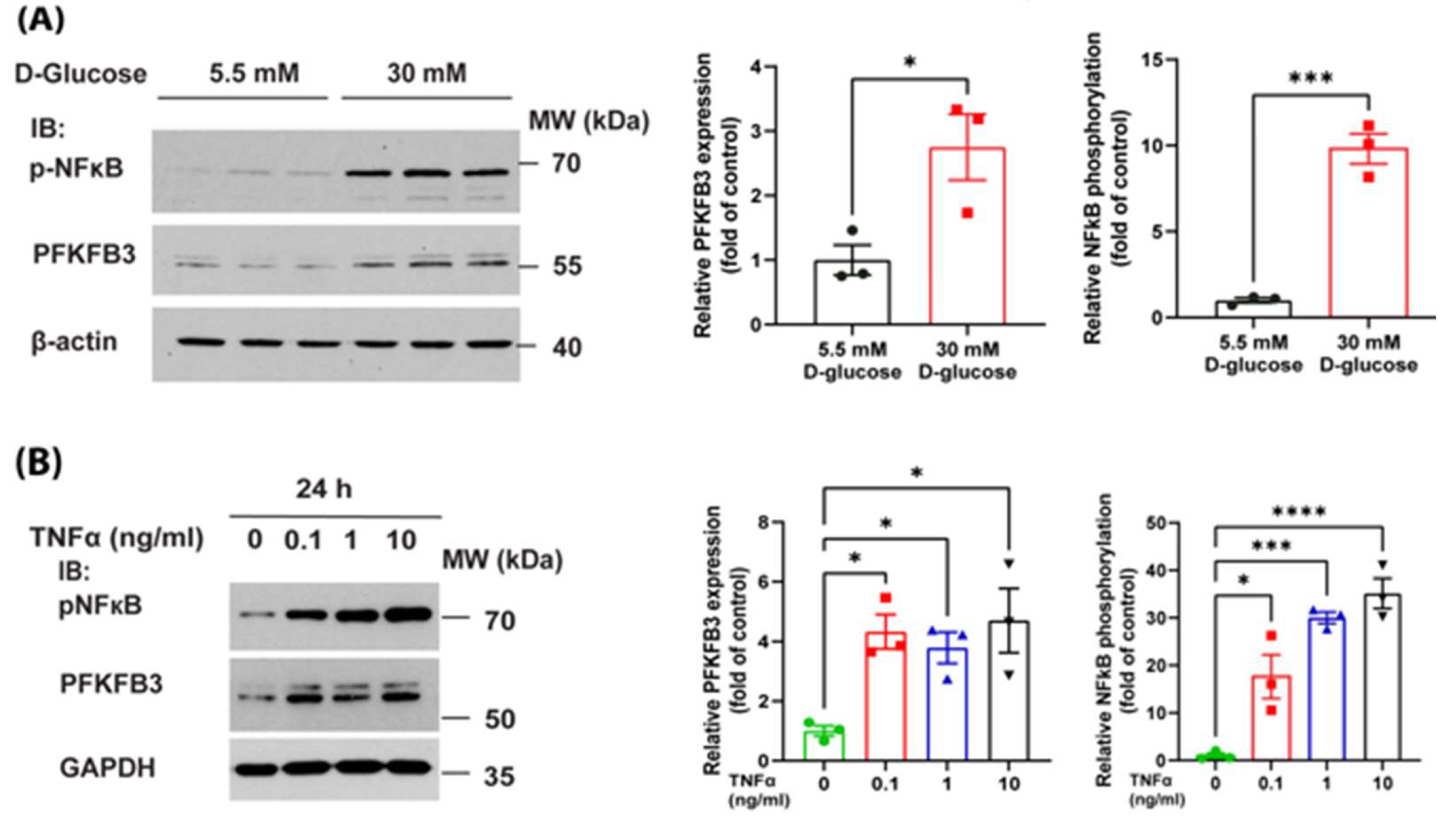 Antioxidants 14 00172 g007