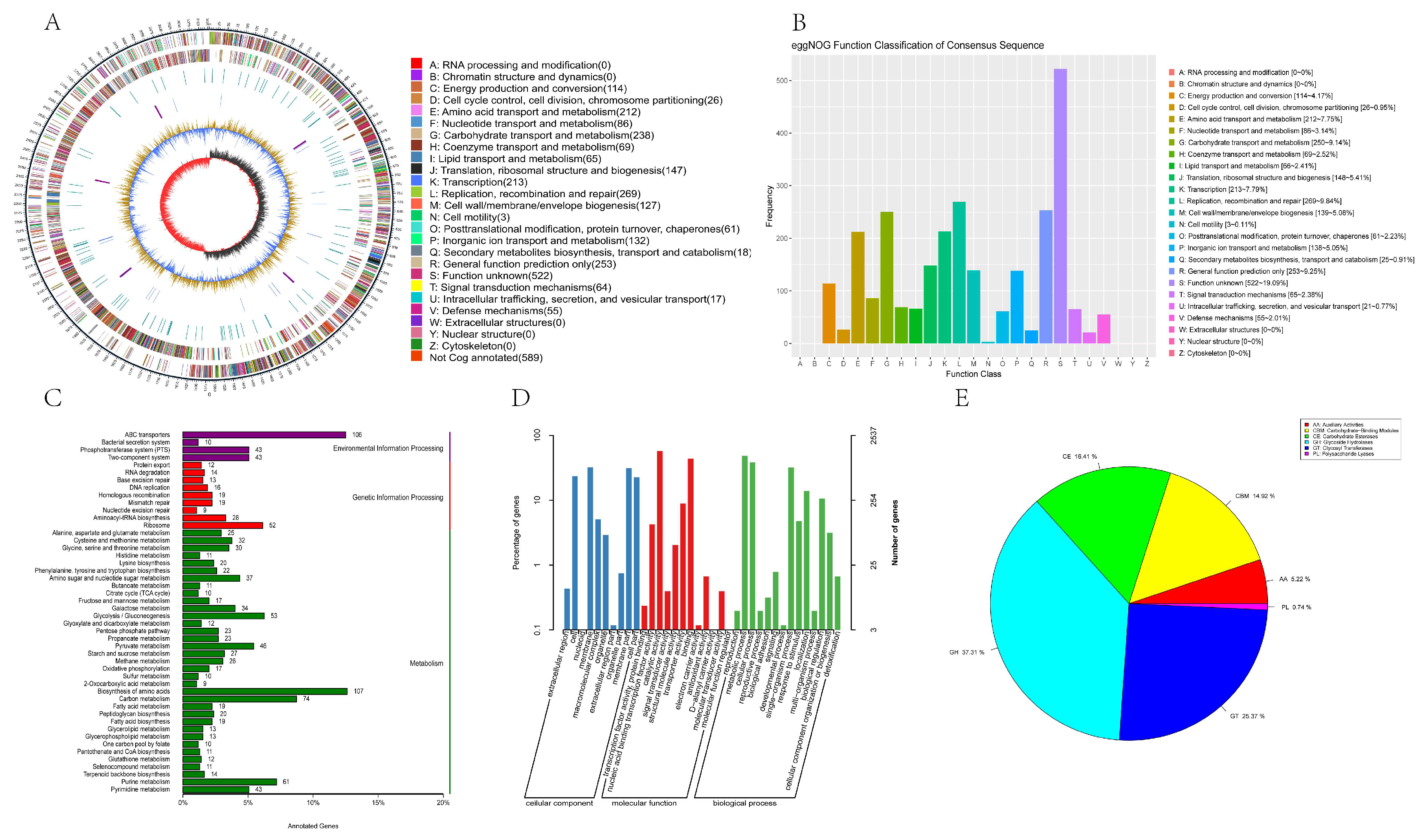 Antioxidants 14 00173 g007 Antioxidants 14 00173 g007