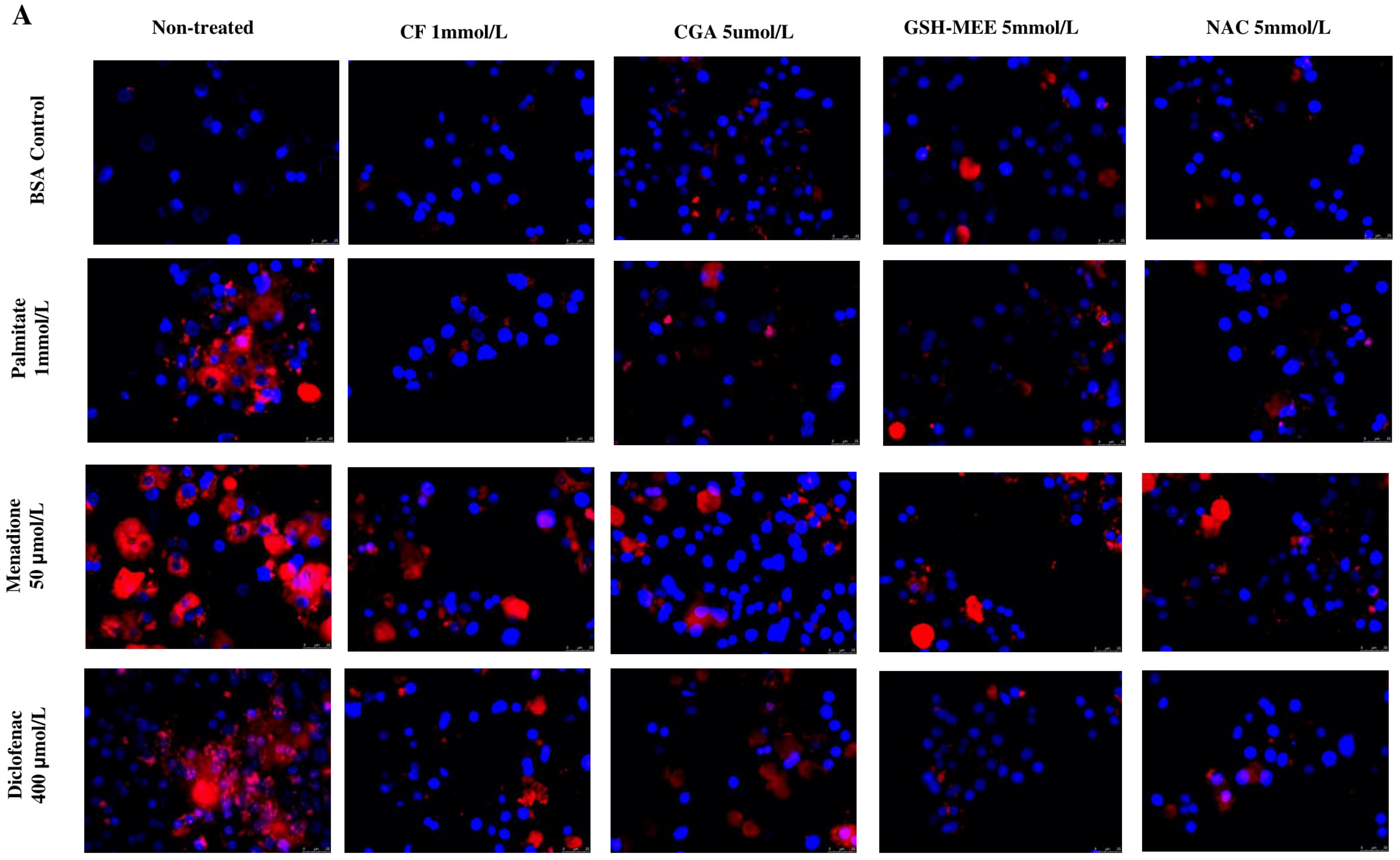 Antioxidants 14 00175 g002a
