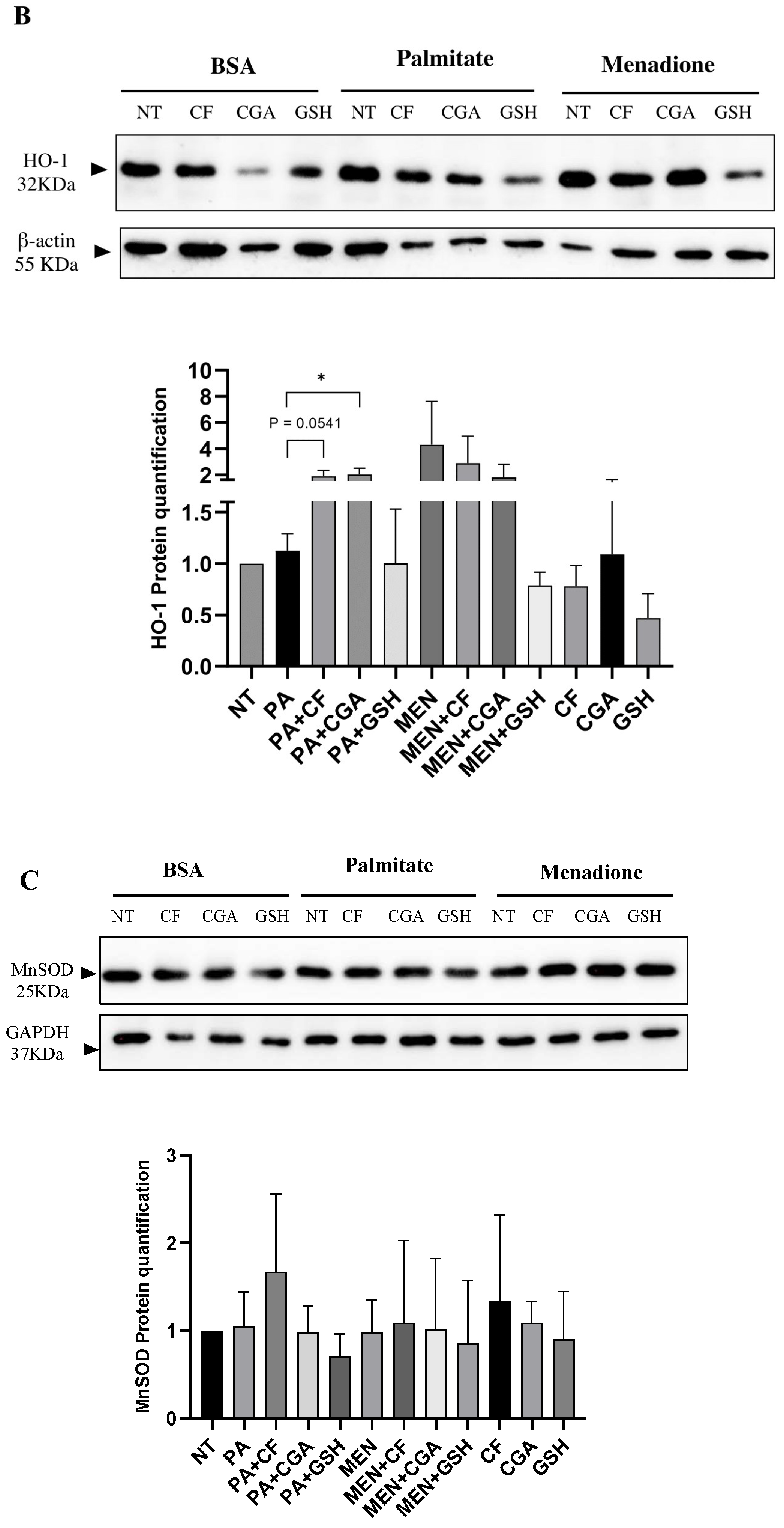 Antioxidants 14 00175 g003b