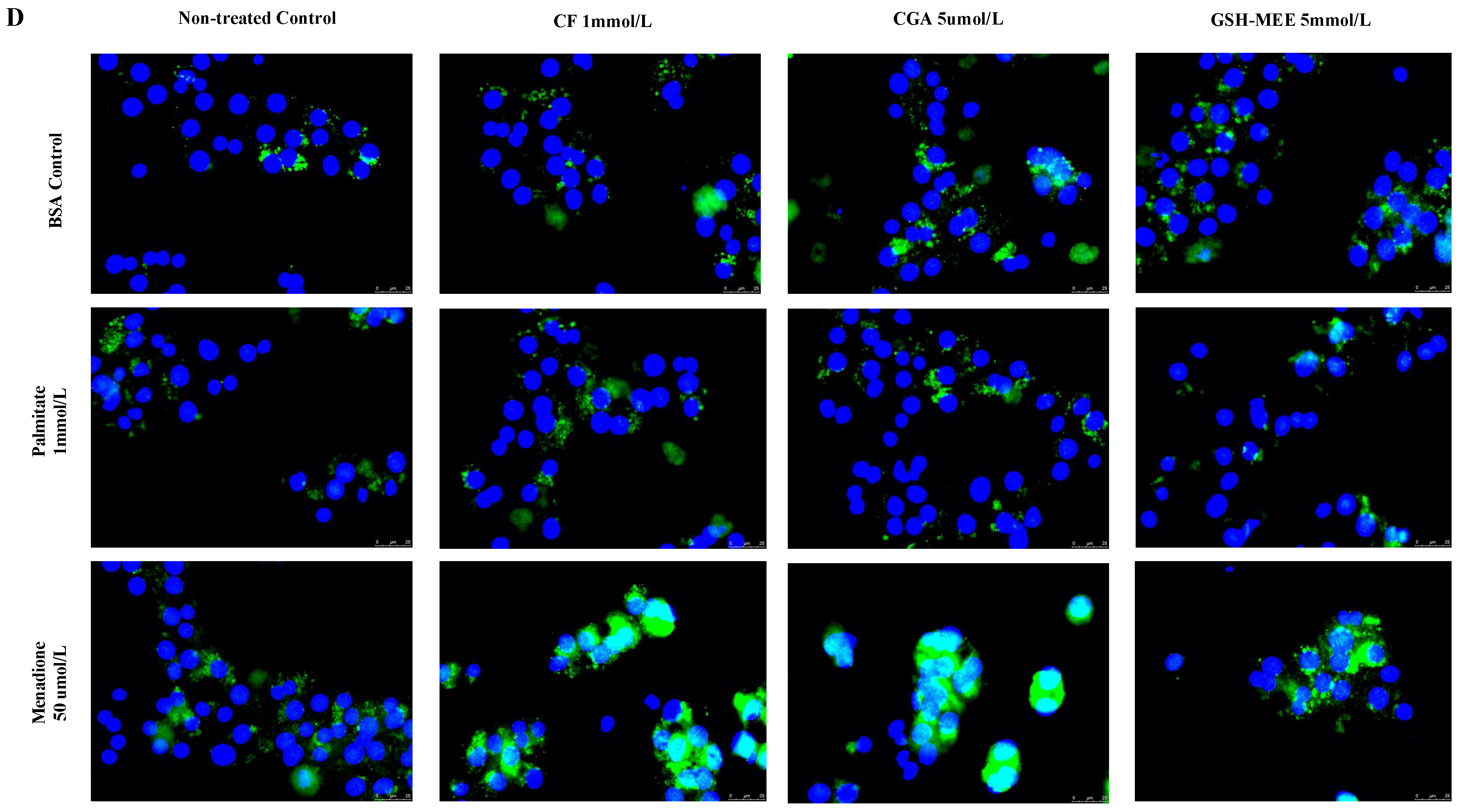 Antioxidants 14 00175 g003c