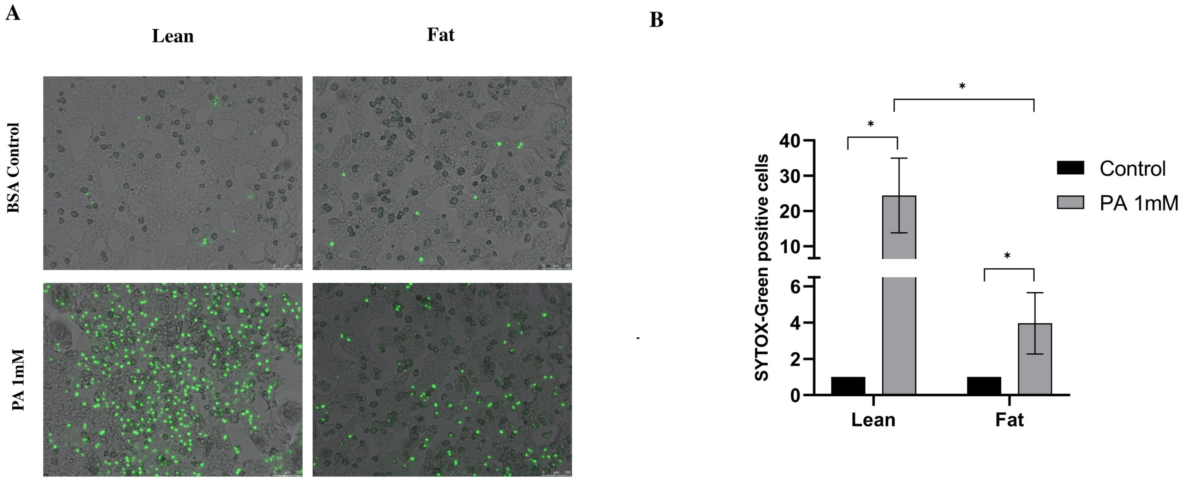 Antioxidants 14 00175 g005a