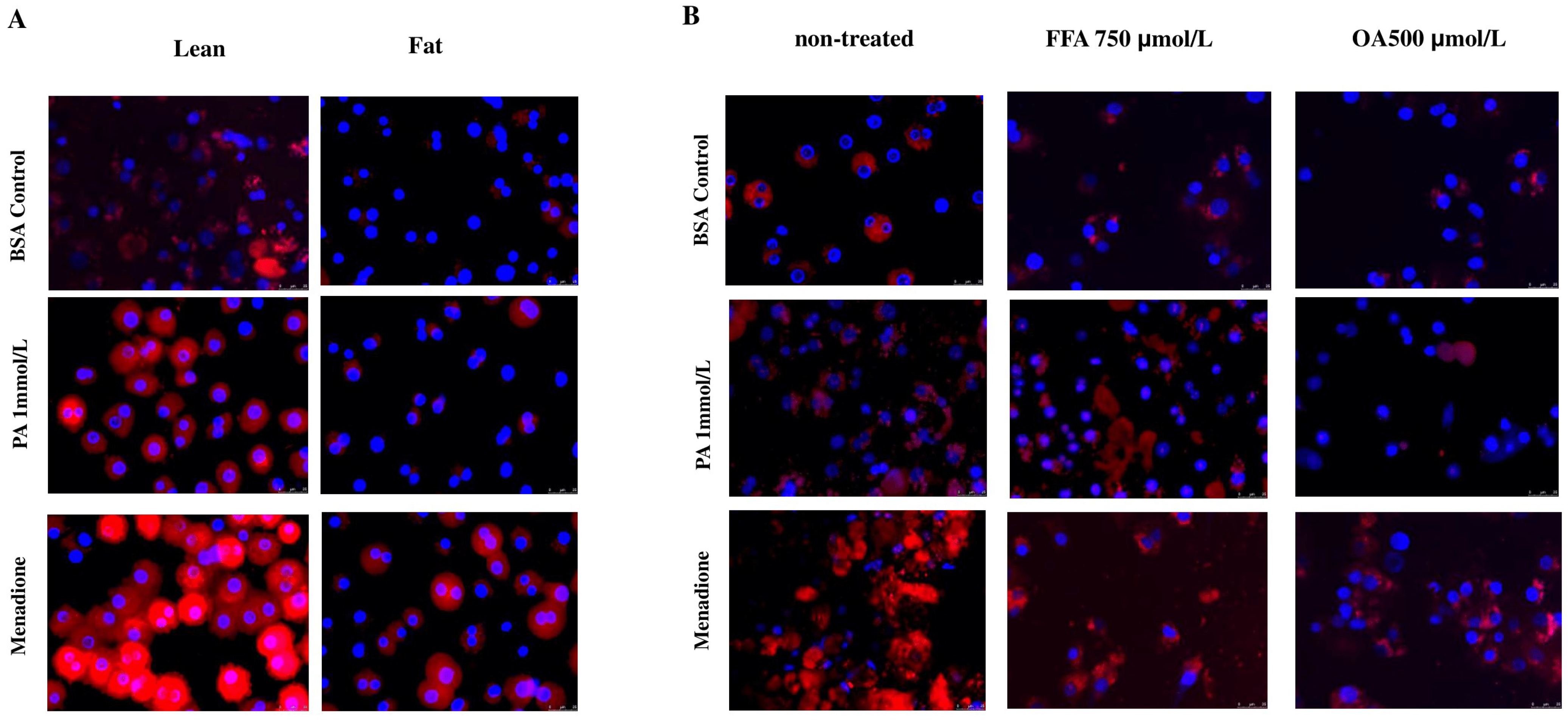 Antioxidants 14 00175 g006a