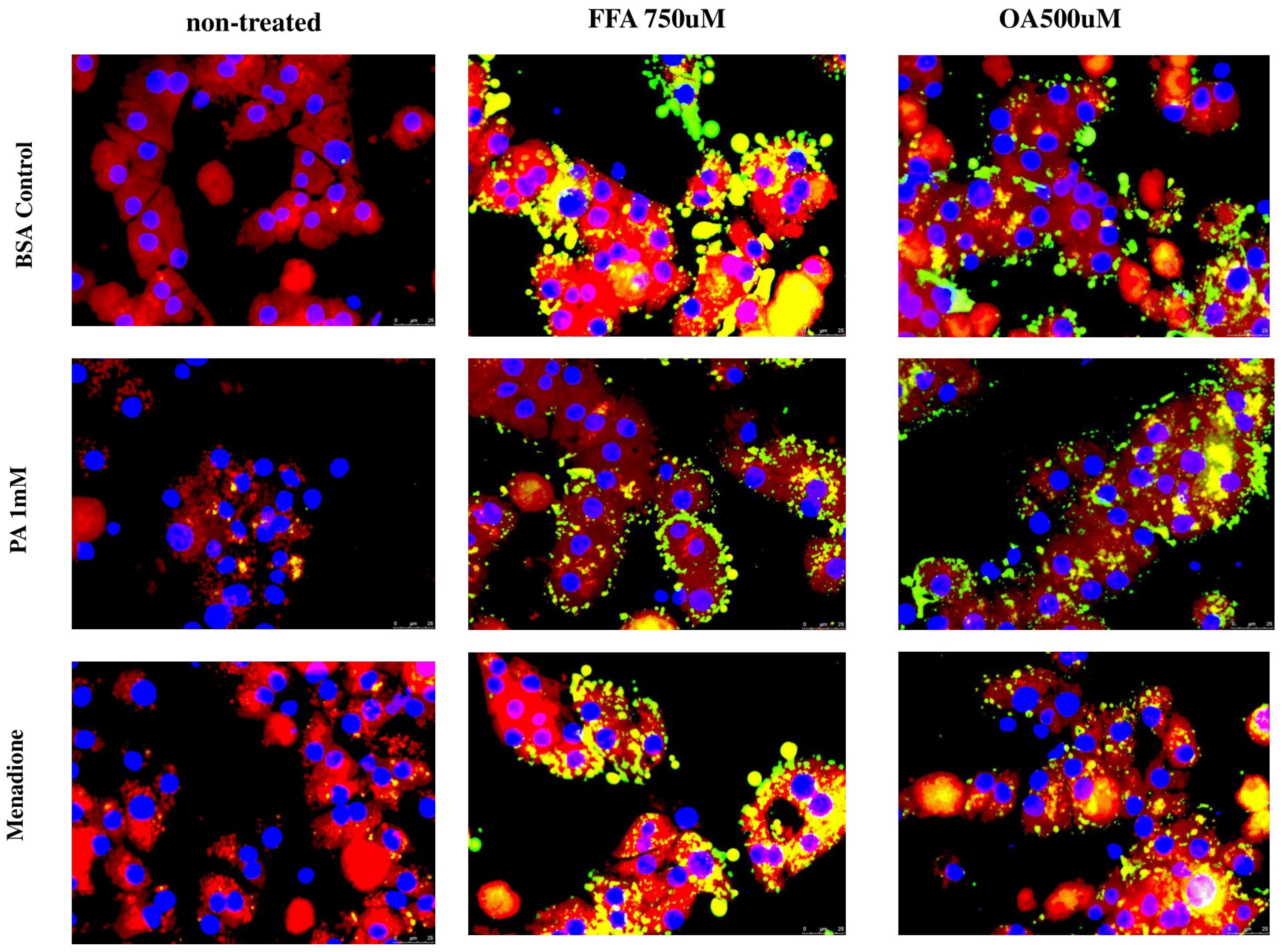 Antioxidants 14 00175 g007