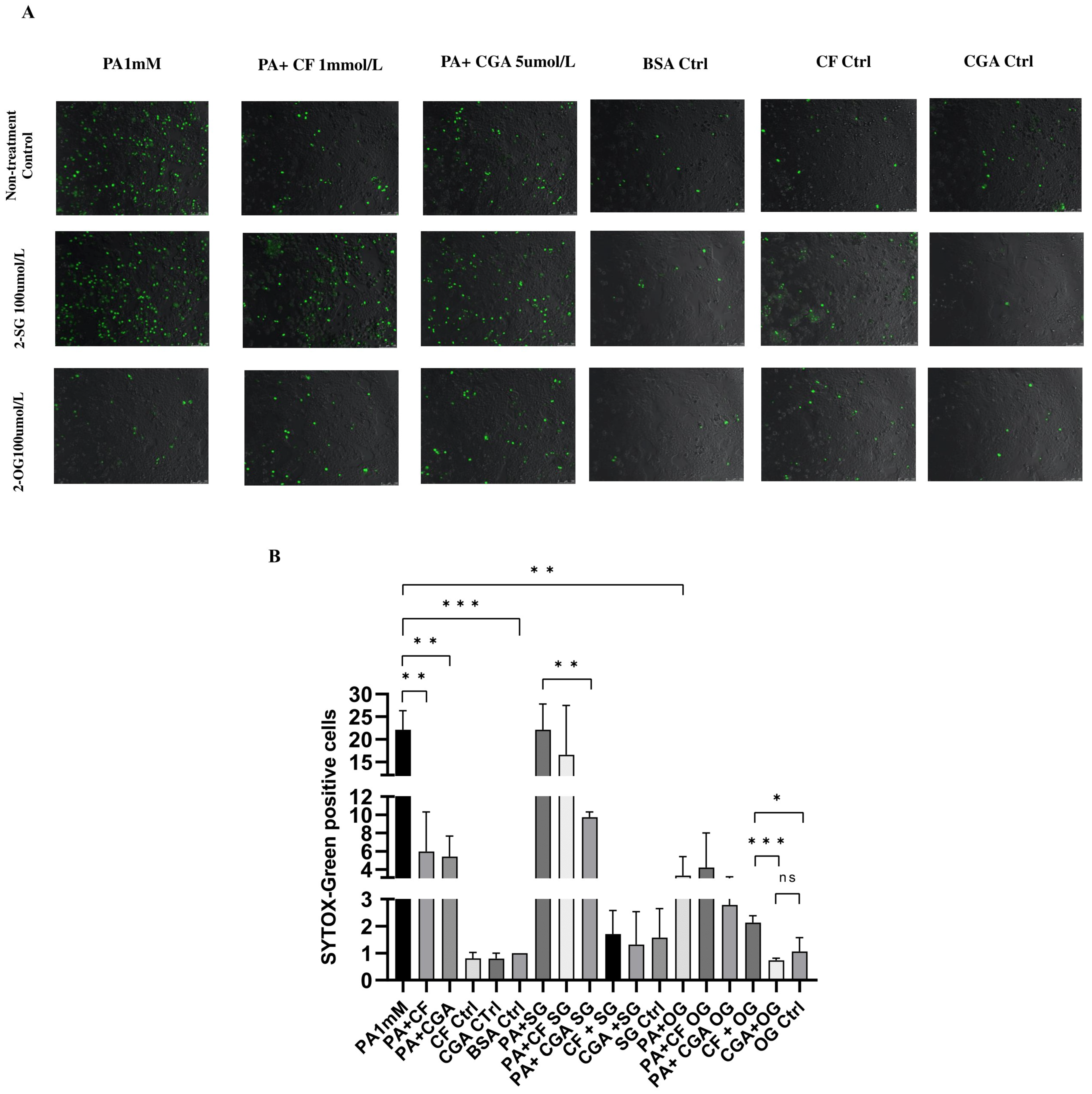 Antioxidants 14 00175 g008