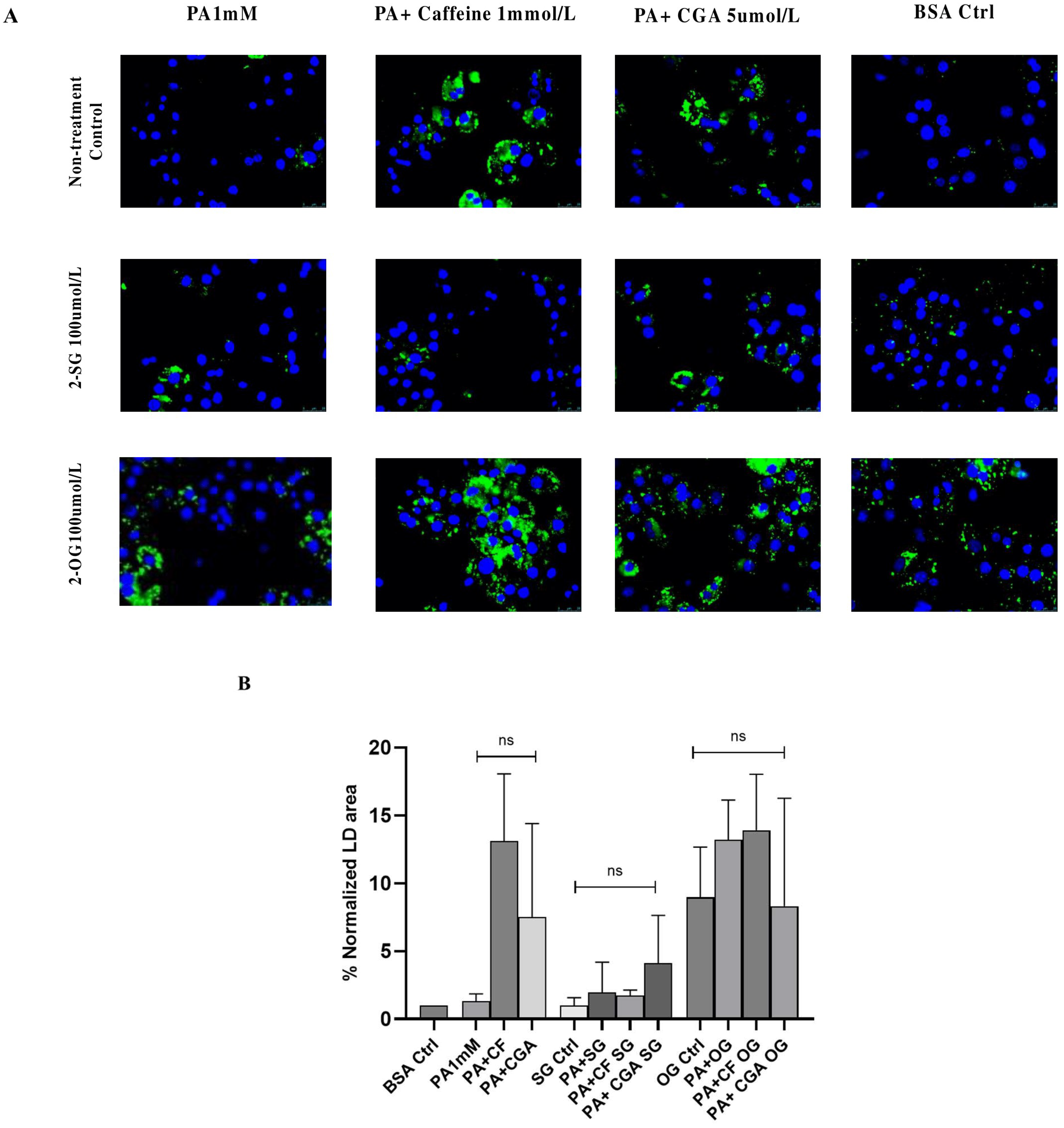Antioxidants 14 00175 g009
