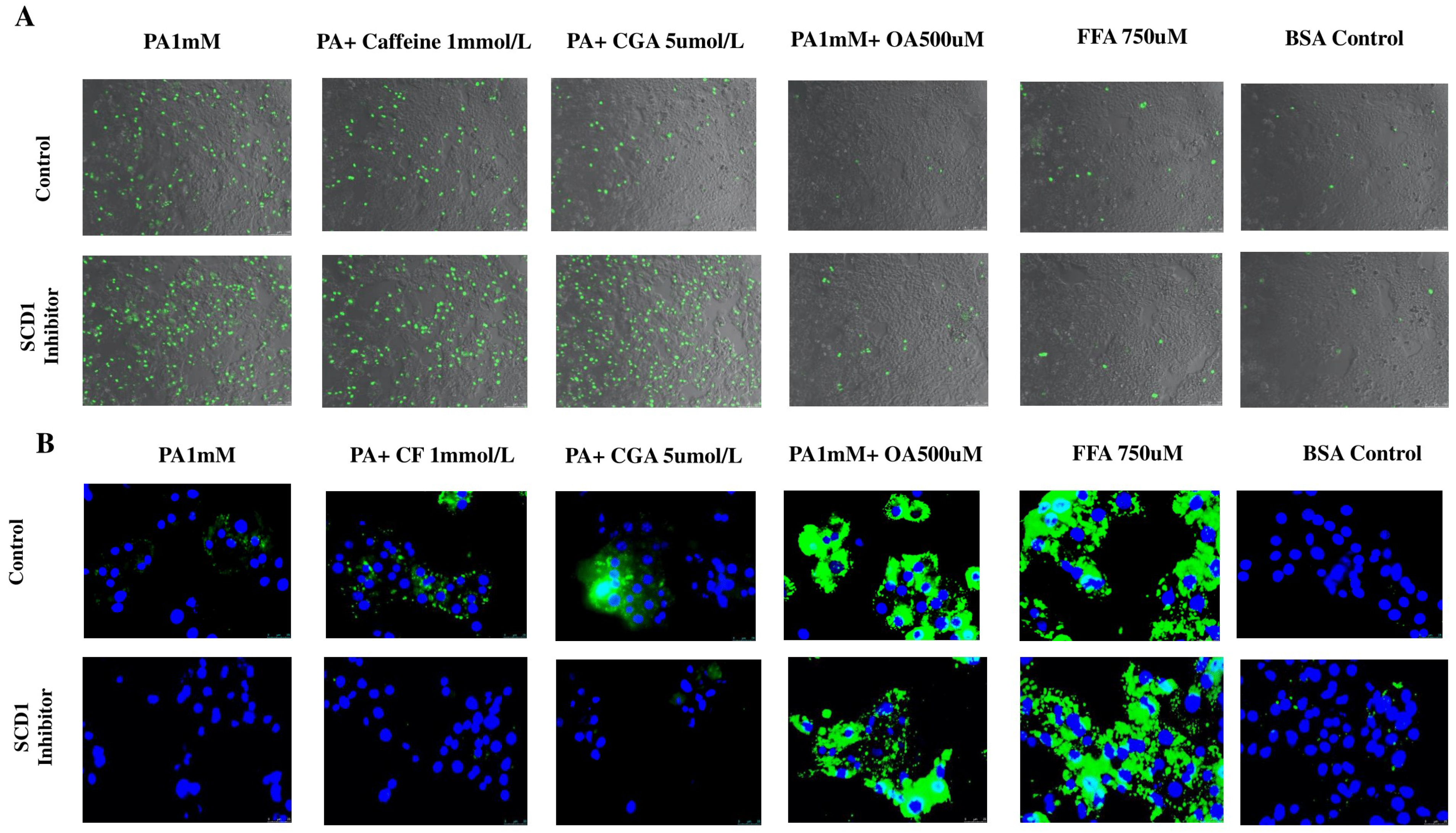 Antioxidants 14 00175 g010a