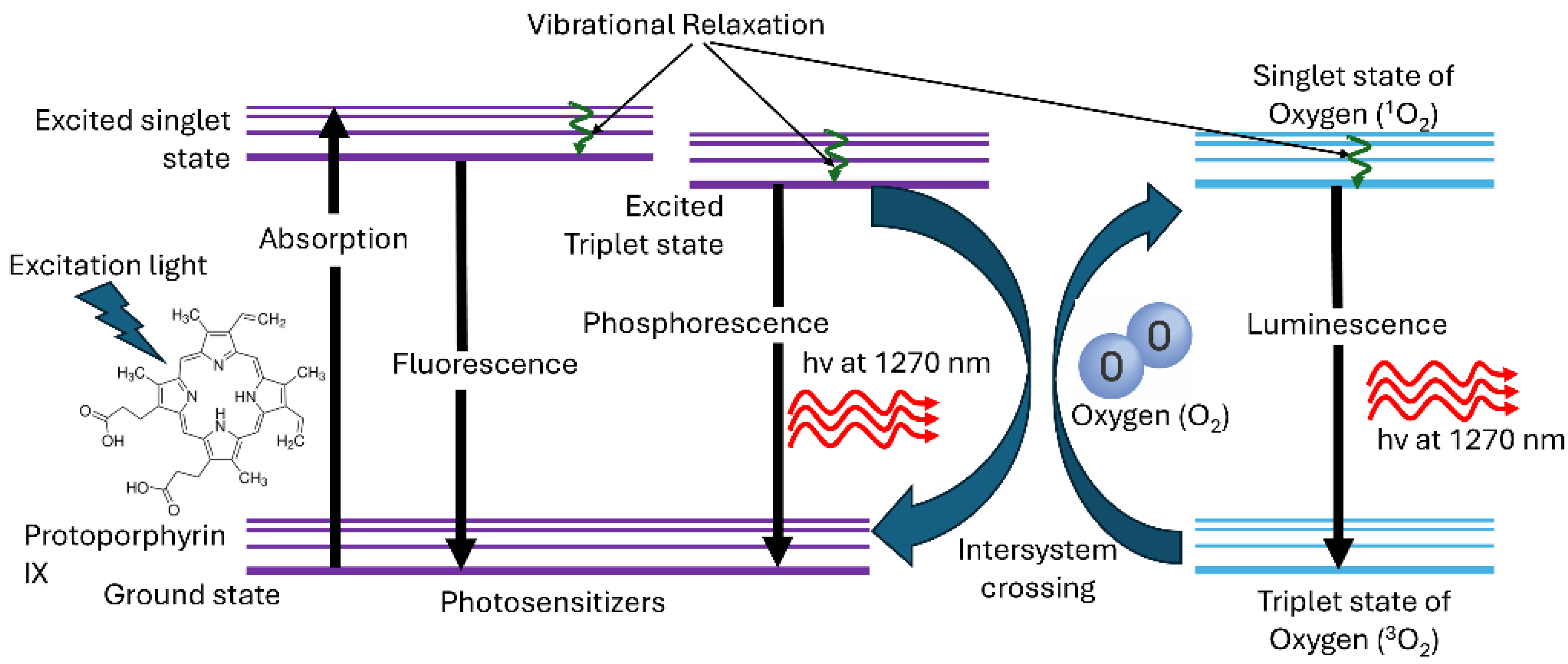 Antioxidants 14 00176 g001