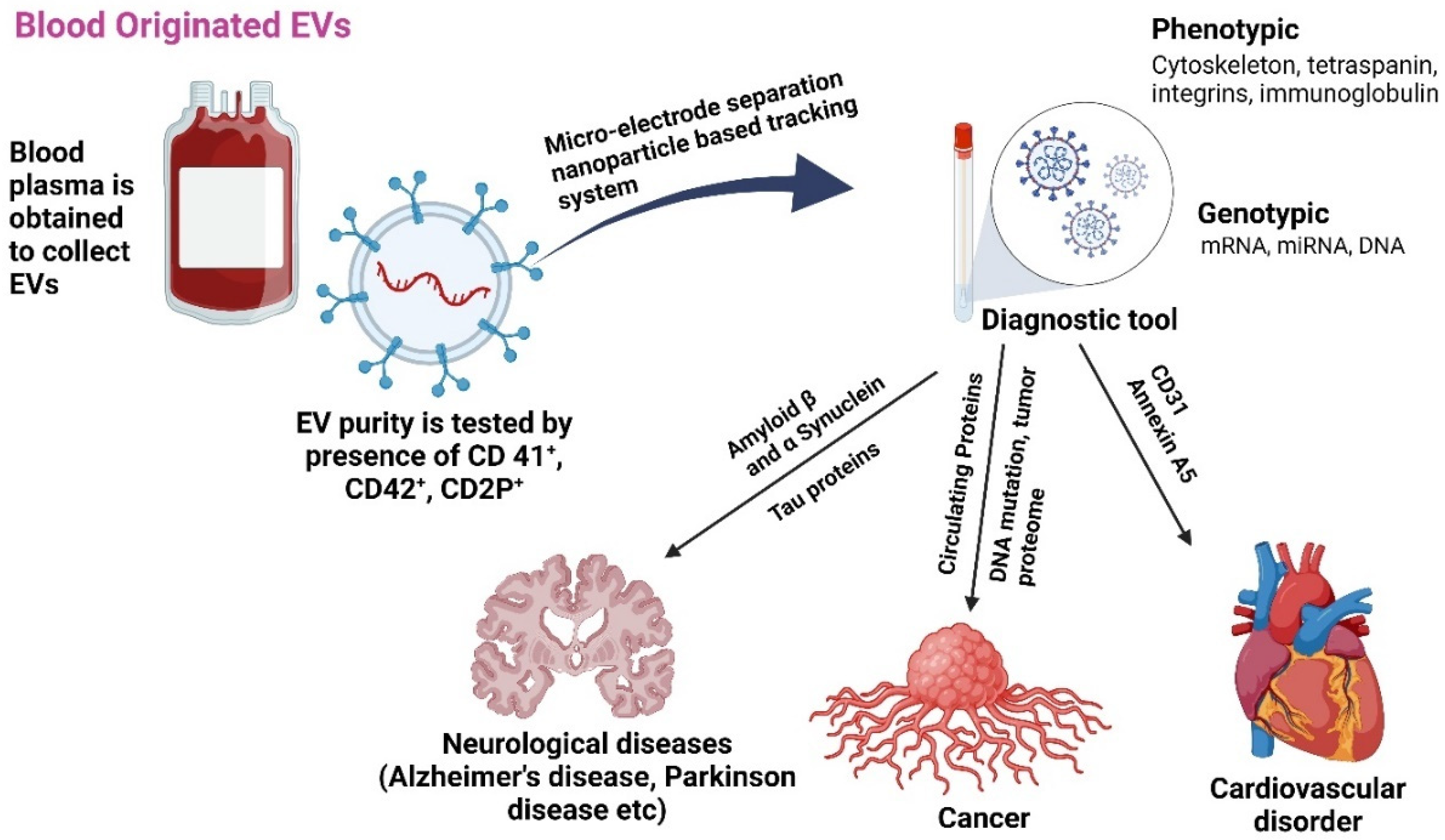 Antioxidants 14 00177 g001