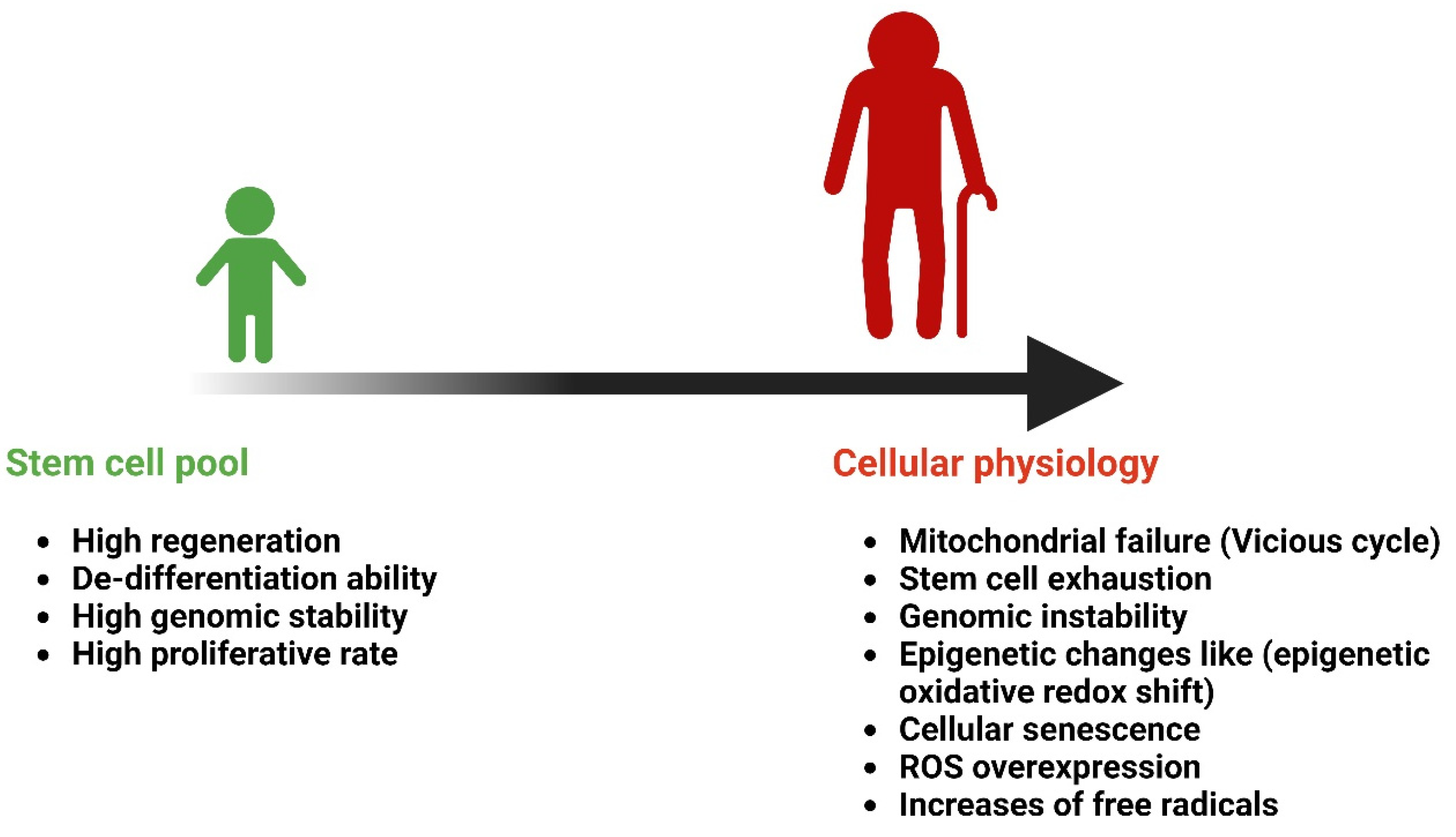 Antioxidants 14 00177 g003