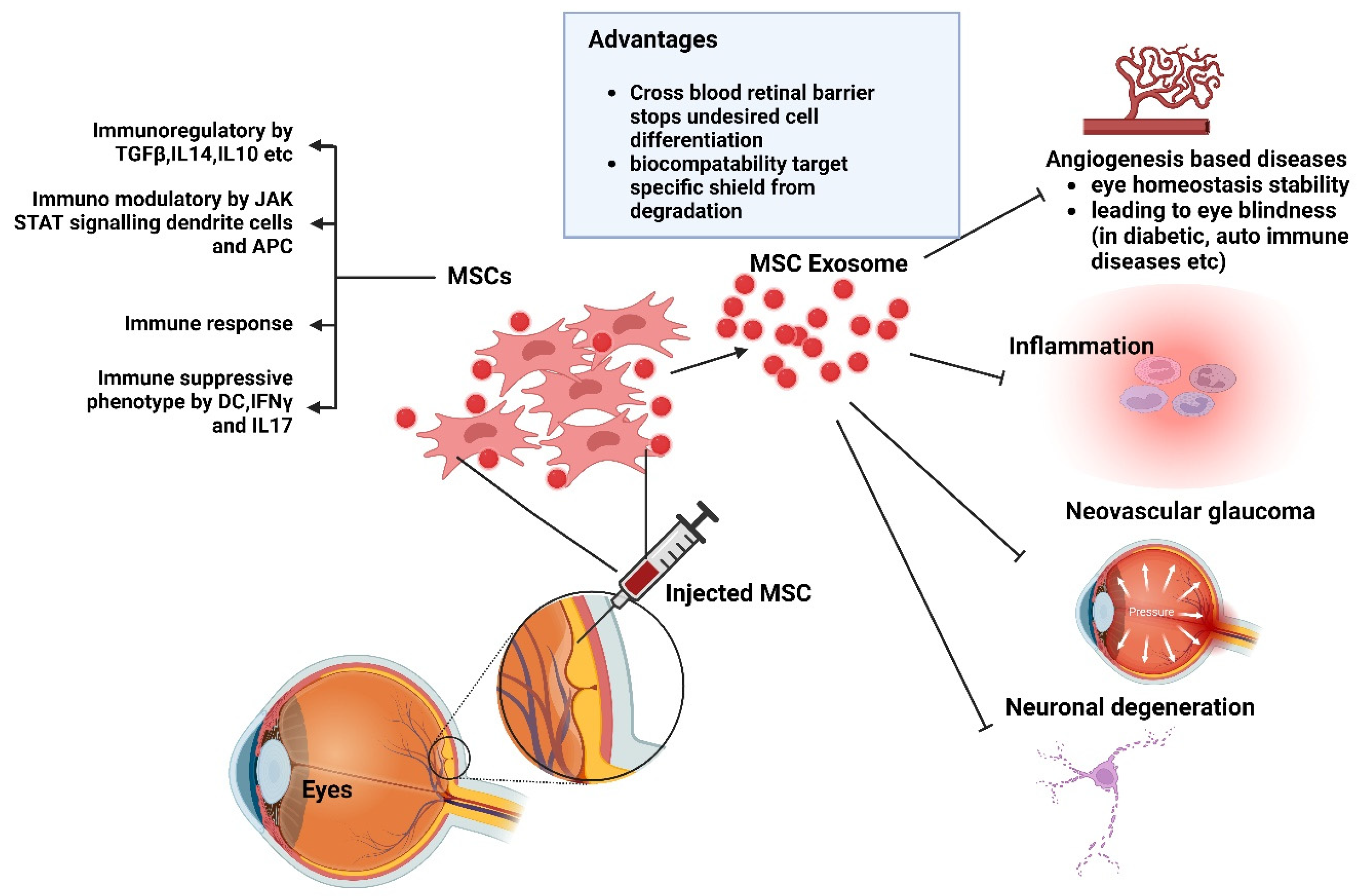 Antioxidants 14 00177 g005