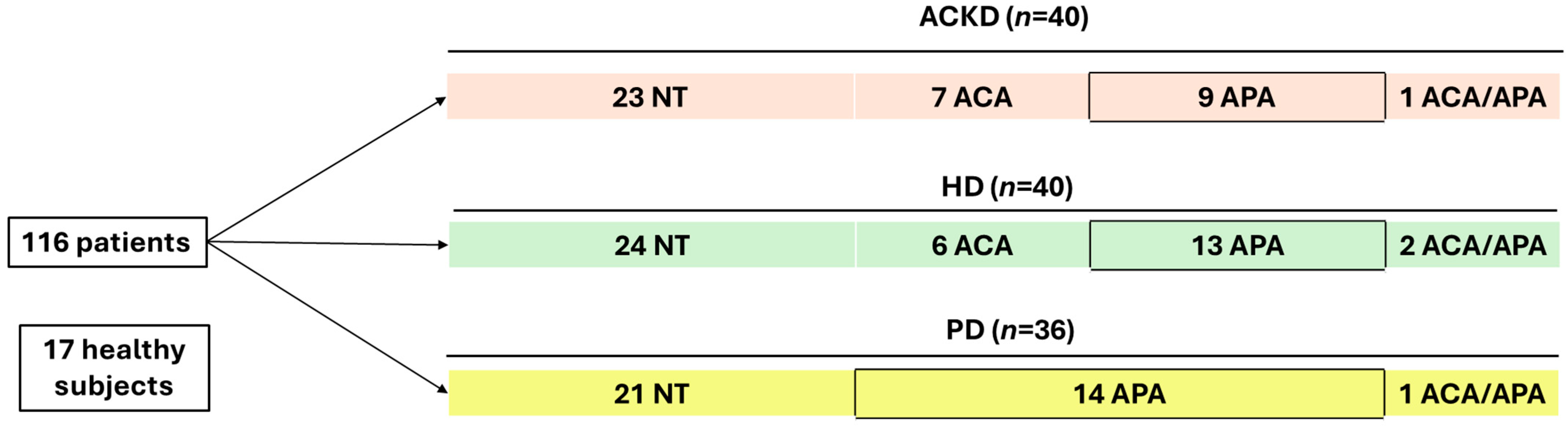 Antioxidants 14 00178 g001