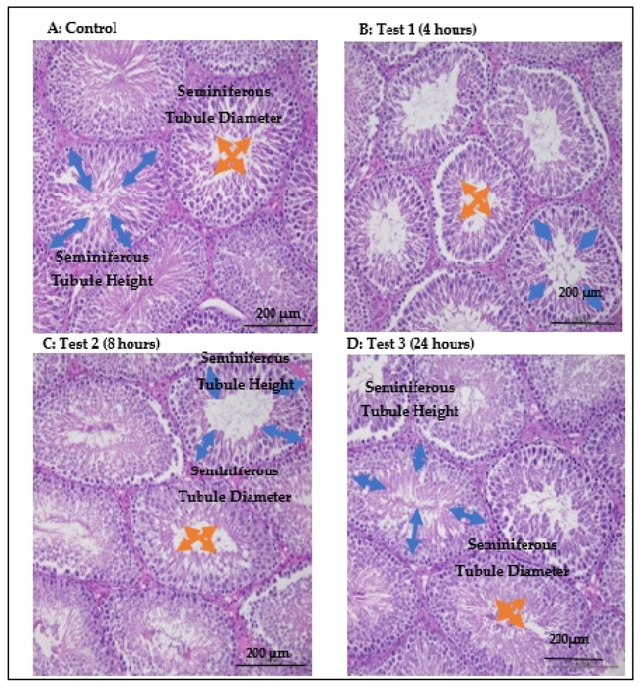 Antioxidants 14 00179 g004 Antioxidants 14 00179 g004
