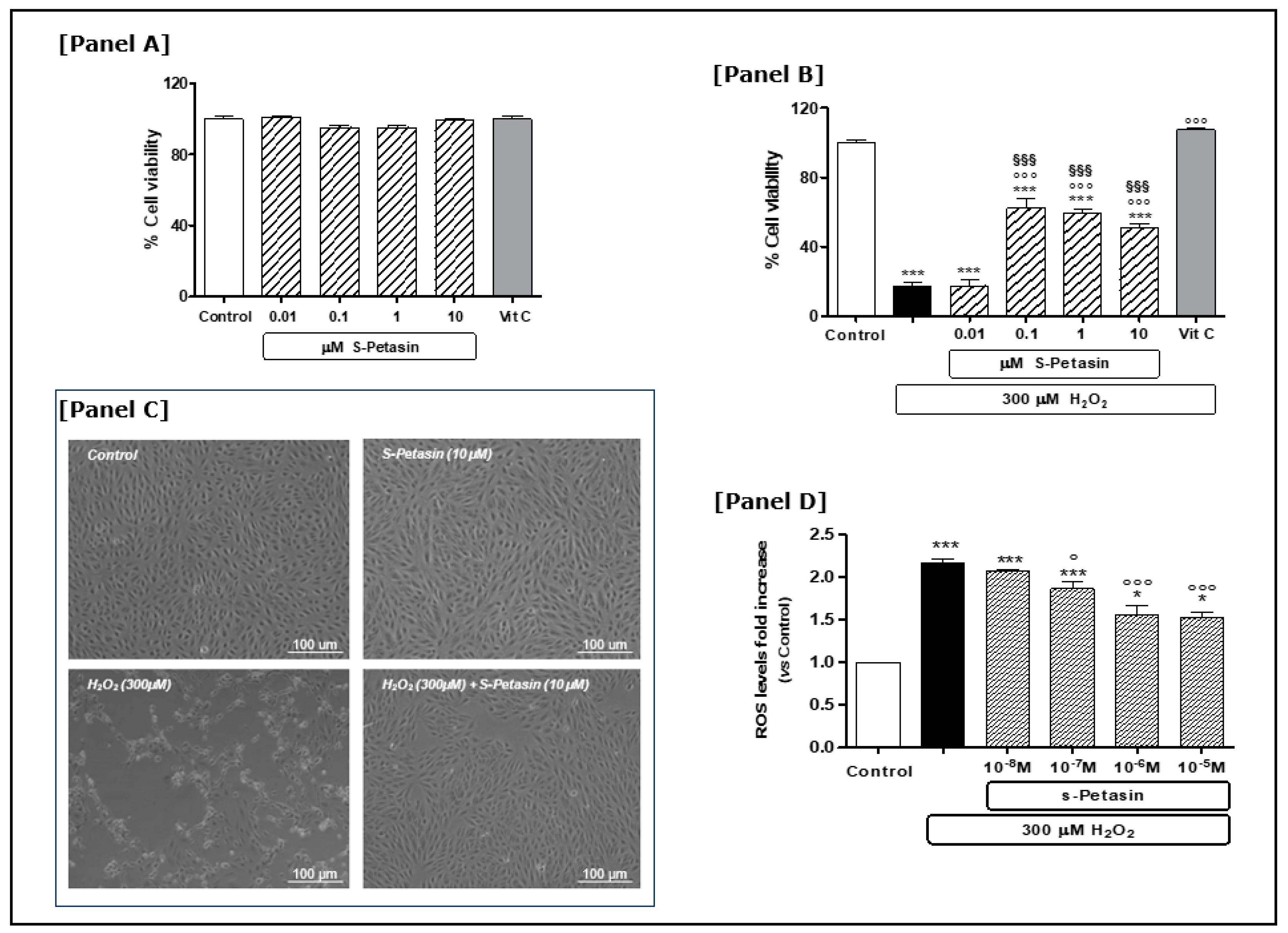 Antioxidants 14 00180 g001
