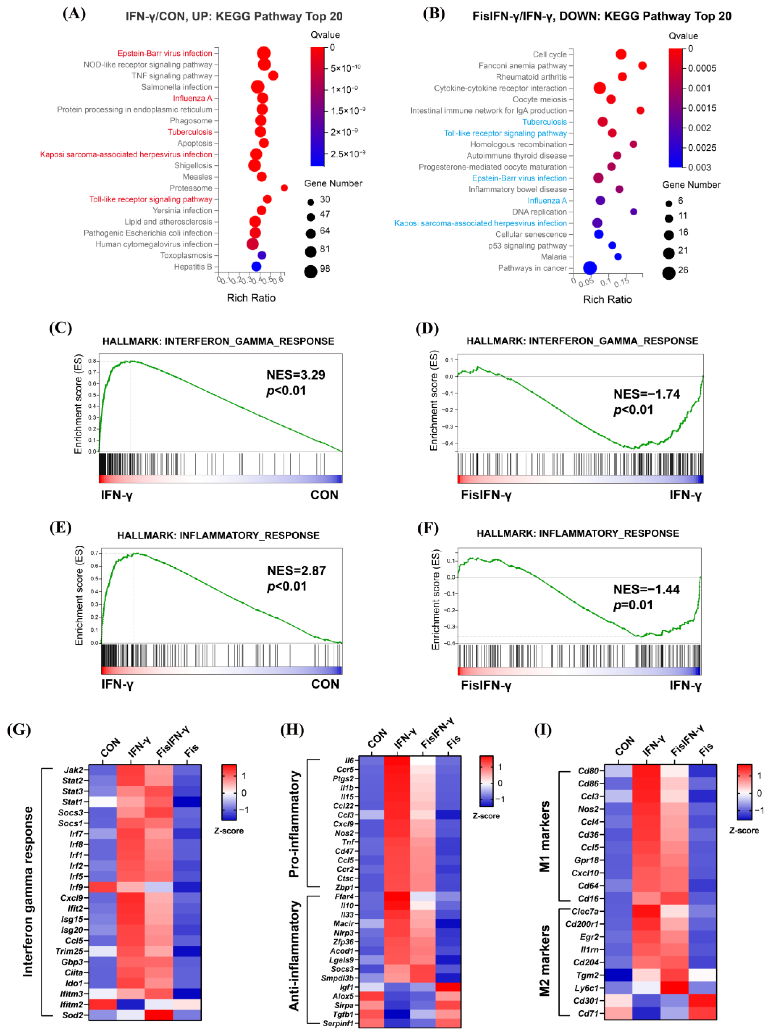 Antioxidants 14 00182 g002