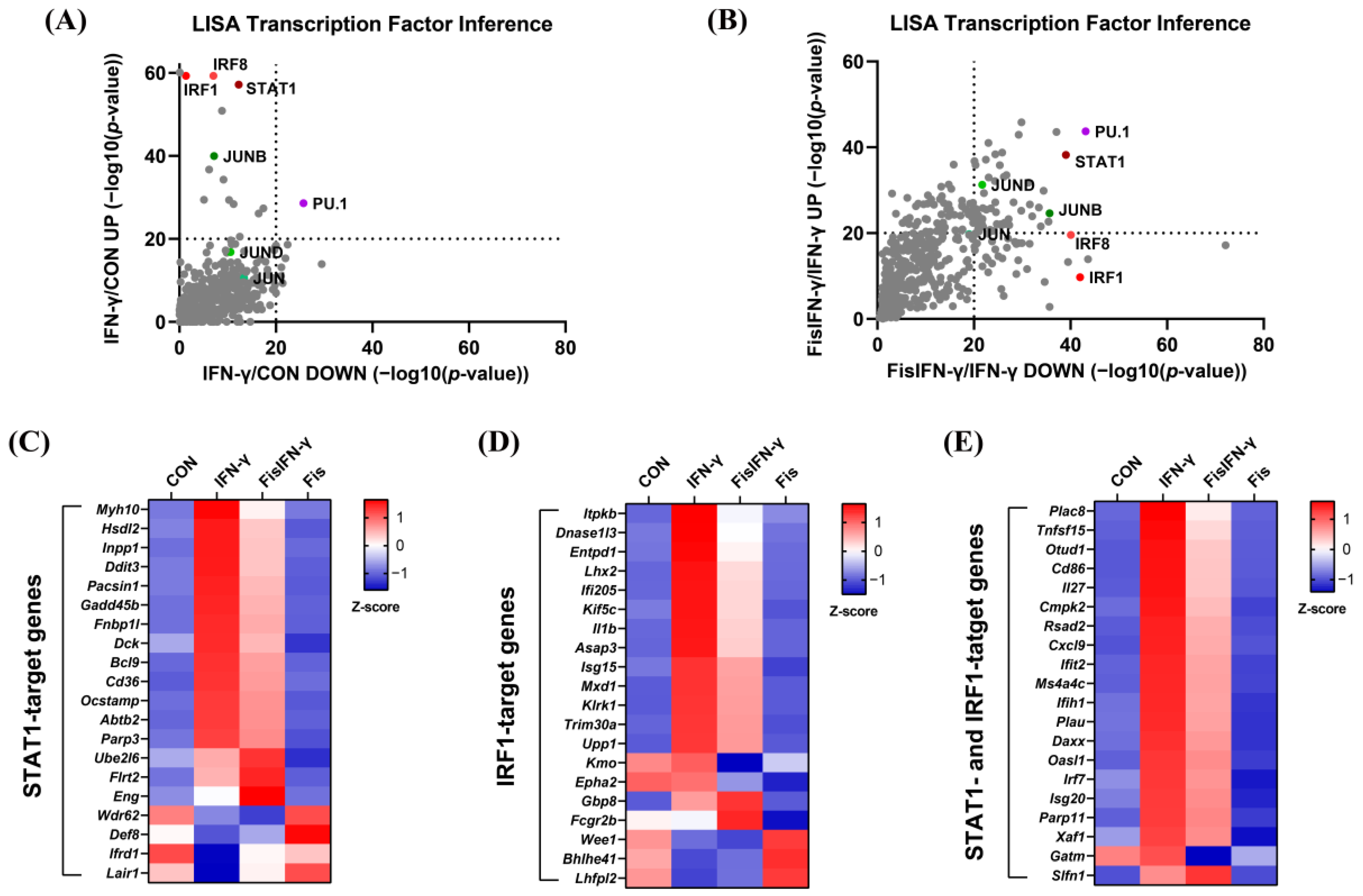 Antioxidants 14 00182 g005