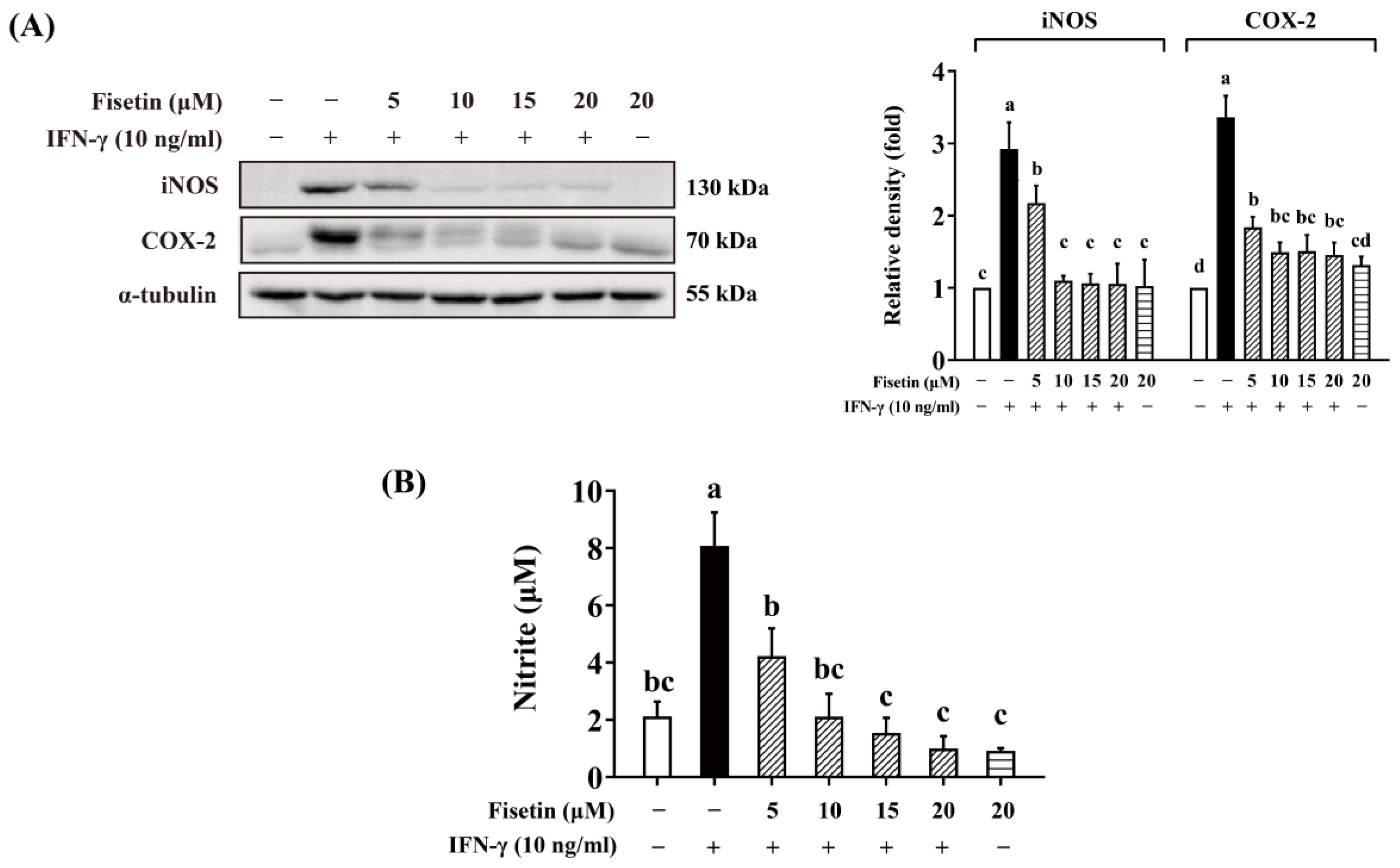 Antioxidants 14 00182 g006