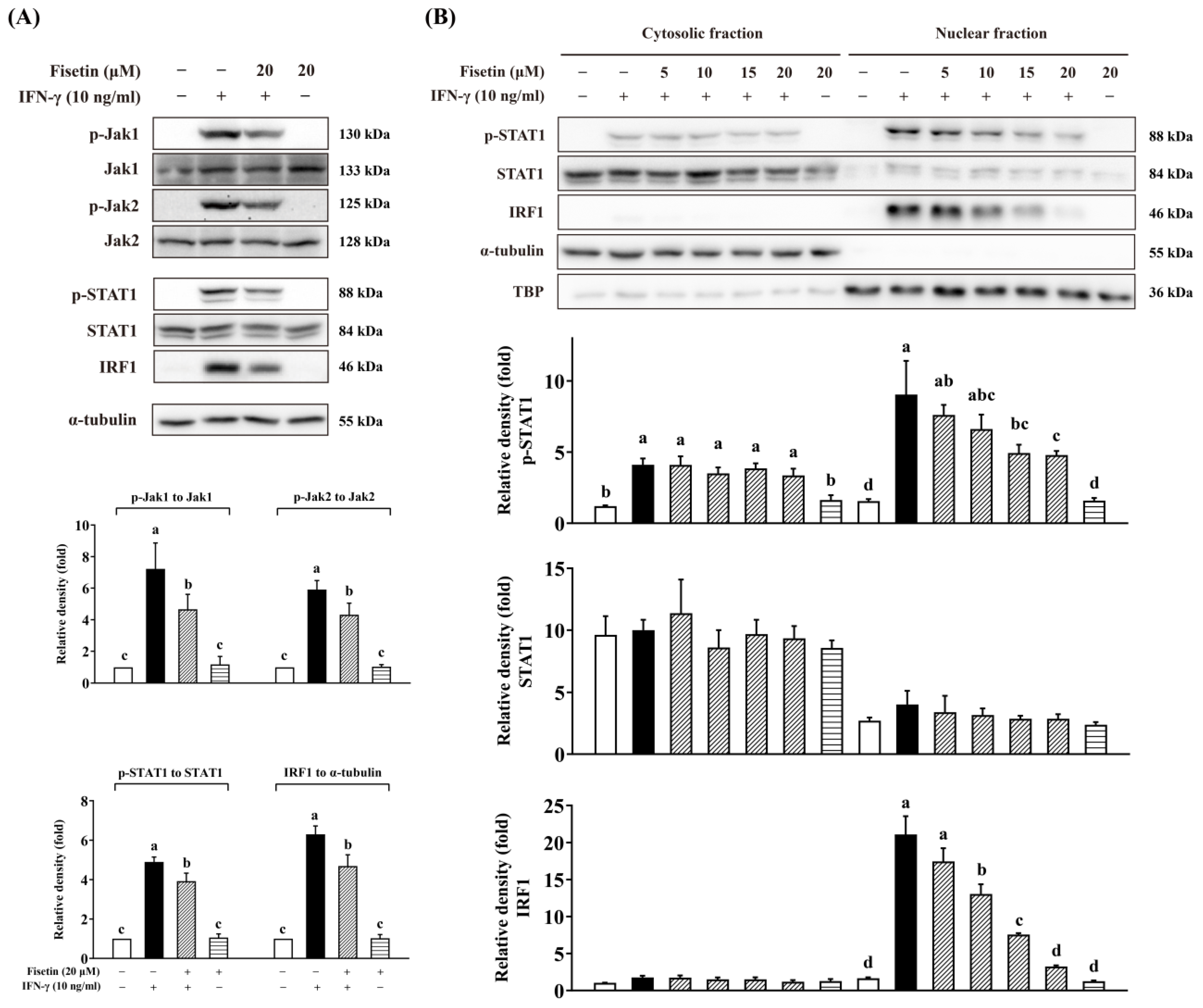 Antioxidants 14 00182 g008