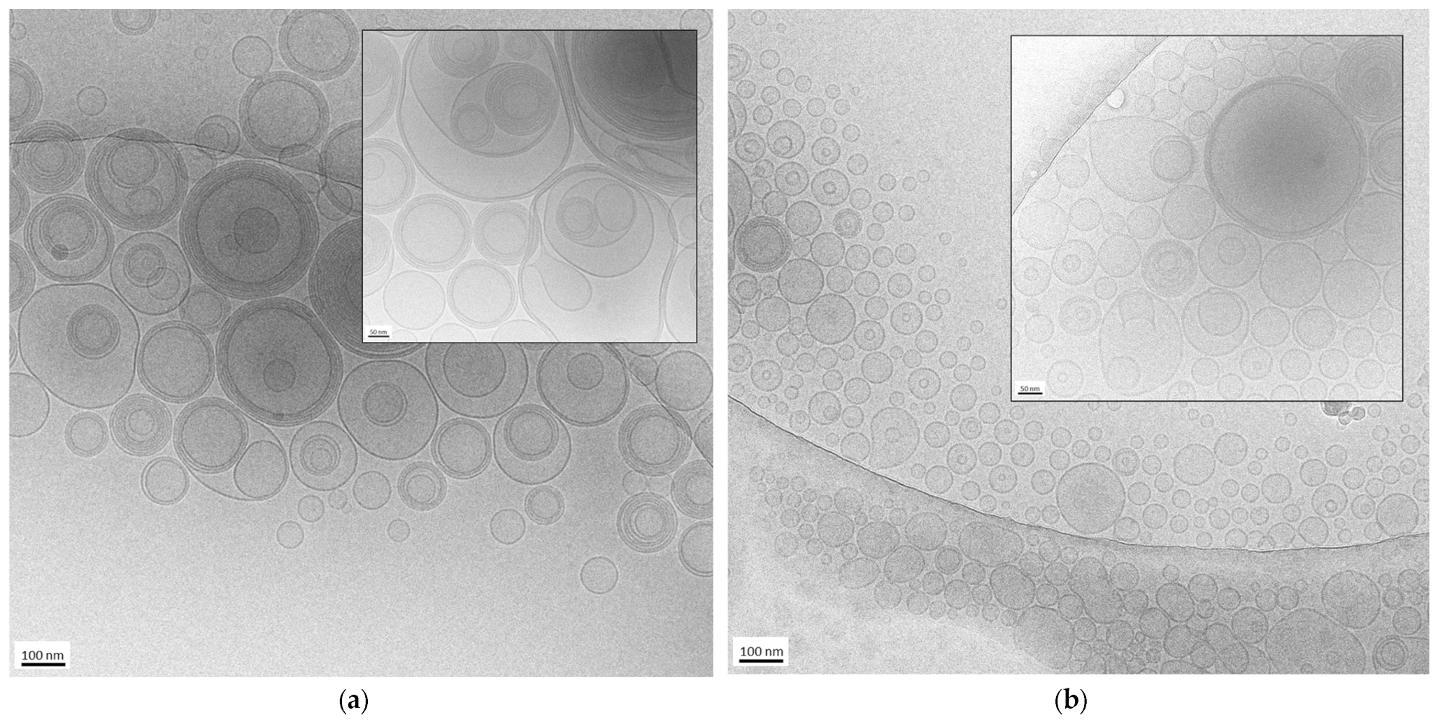 Antioxidants 14 00186 g001