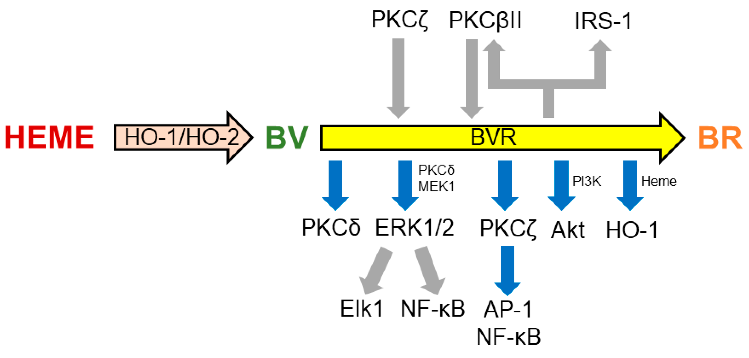 Antioxidants 14 00187 g002