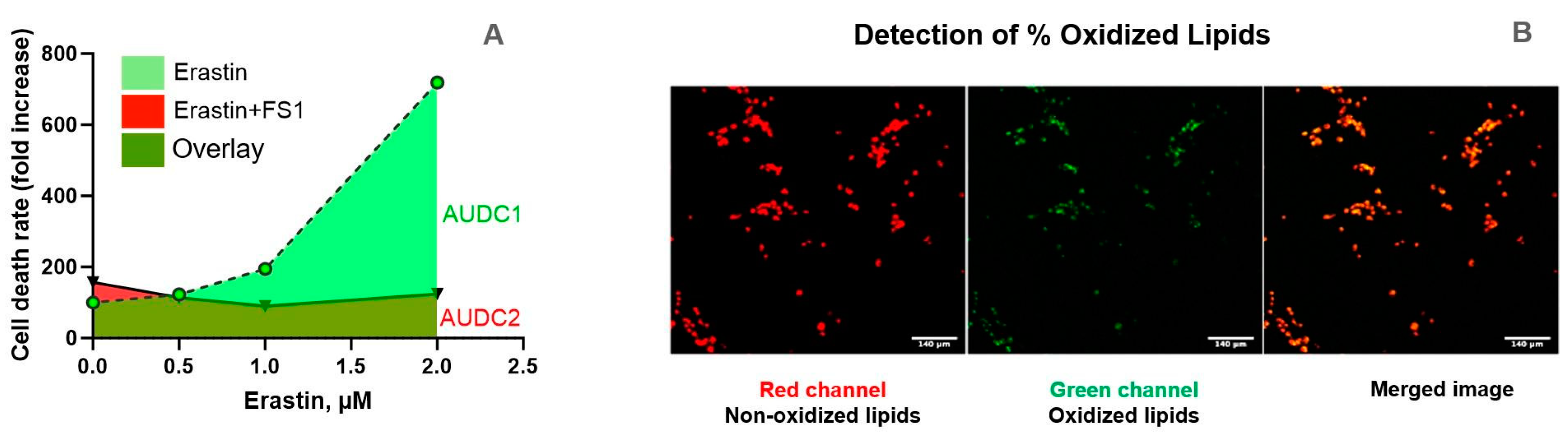 Antioxidants 14 00189 g001