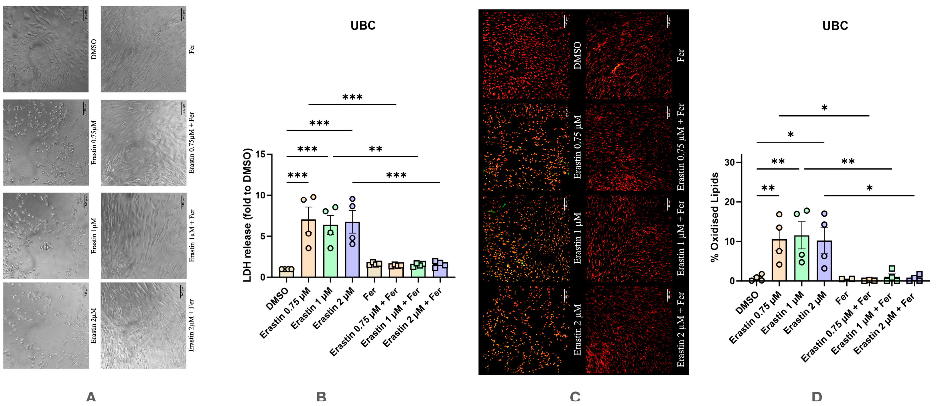 Antioxidants 14 00189 g003