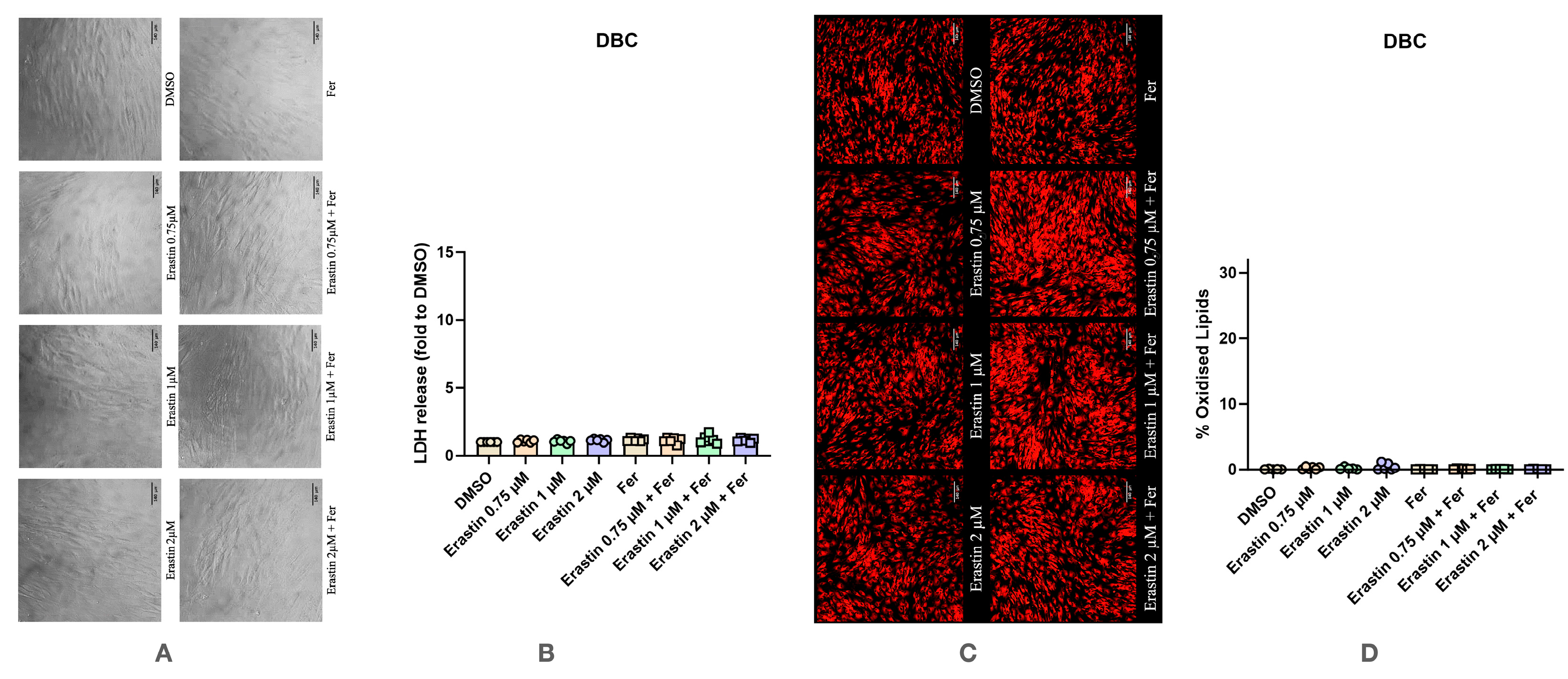 Antioxidants 14 00189 g005