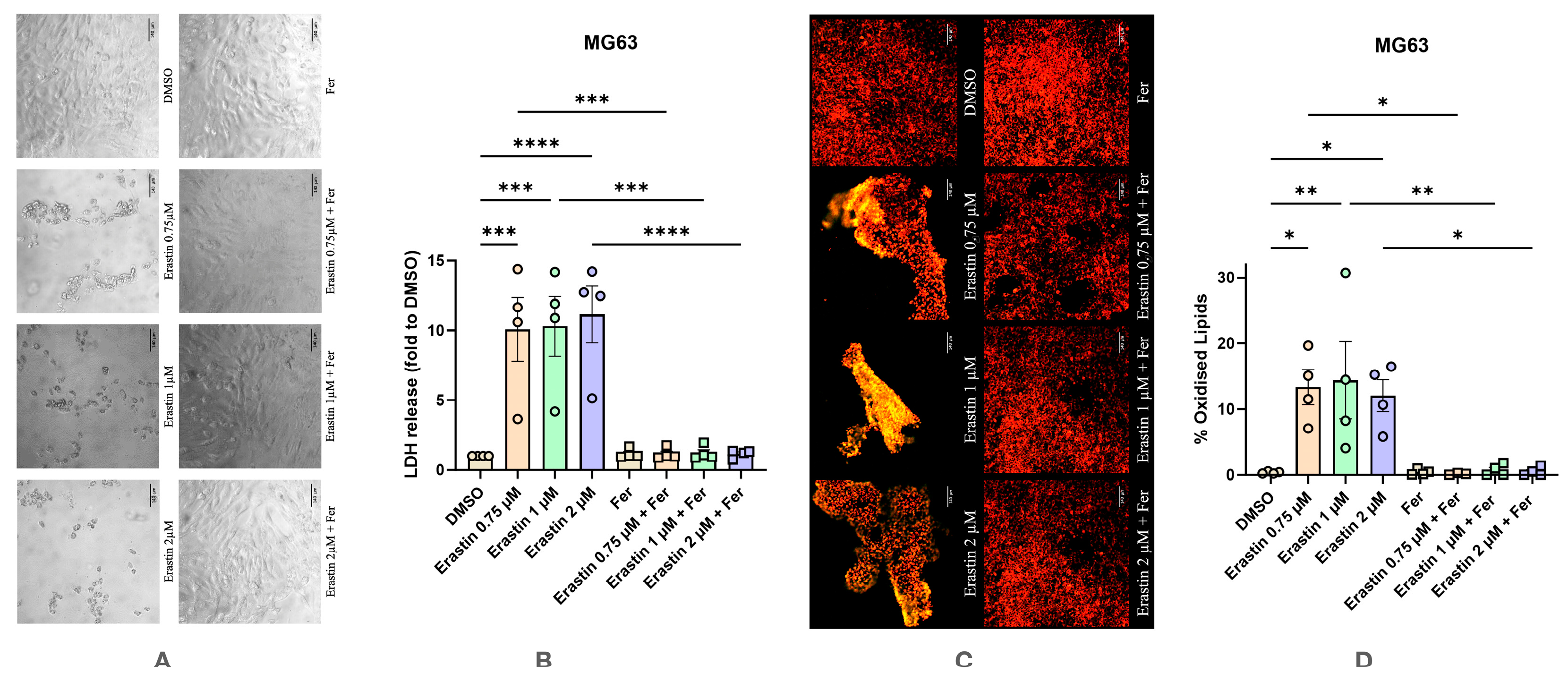 Antioxidants 14 00189 g007
