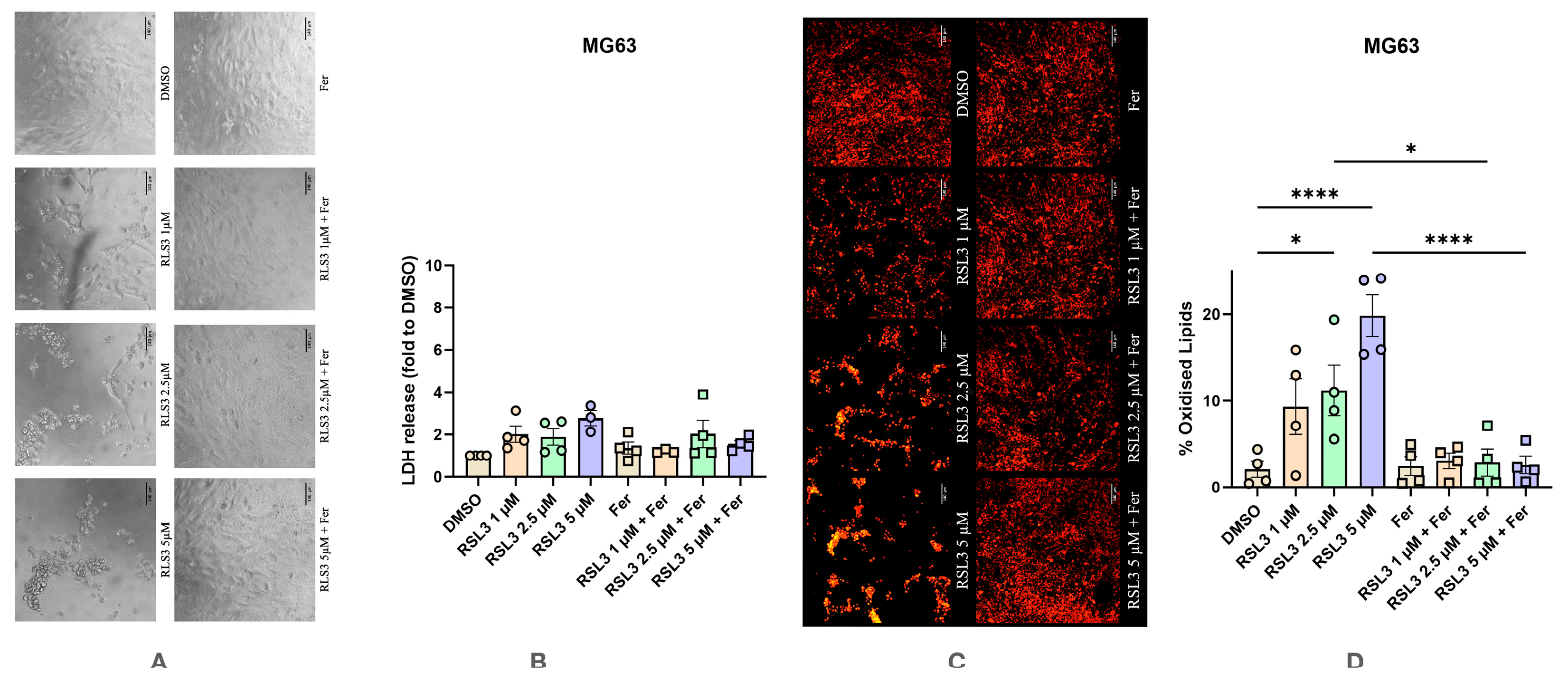 Antioxidants 14 00189 g008