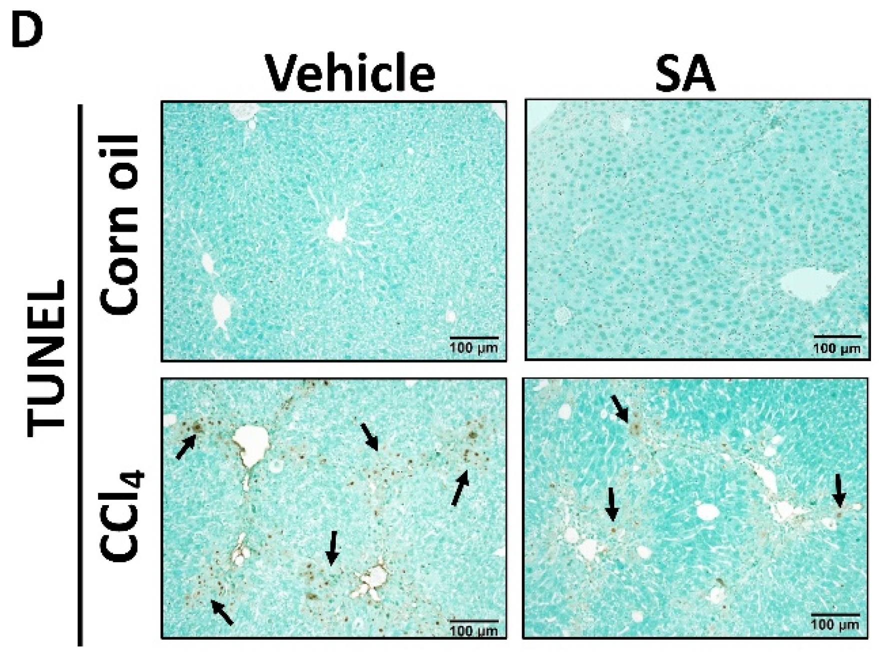 Antioxidants 14 00196 g003