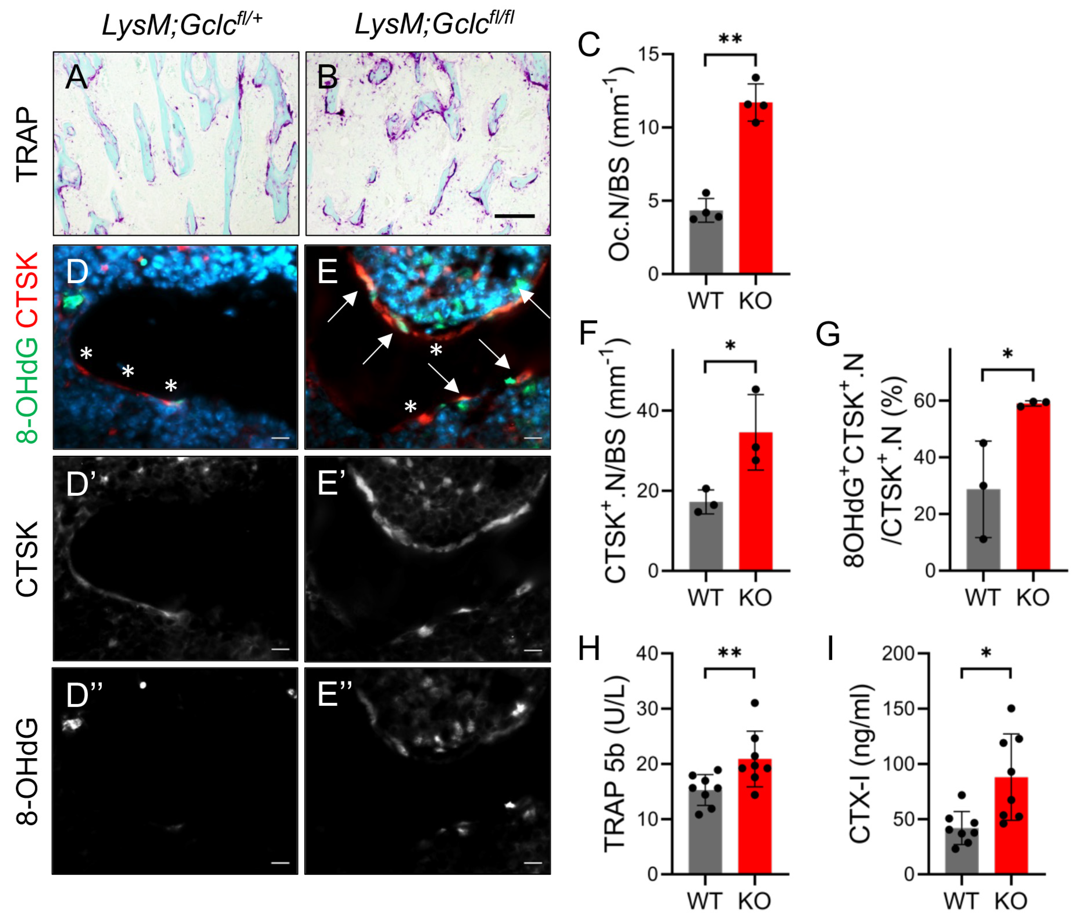 Antioxidants 14 00197 g006