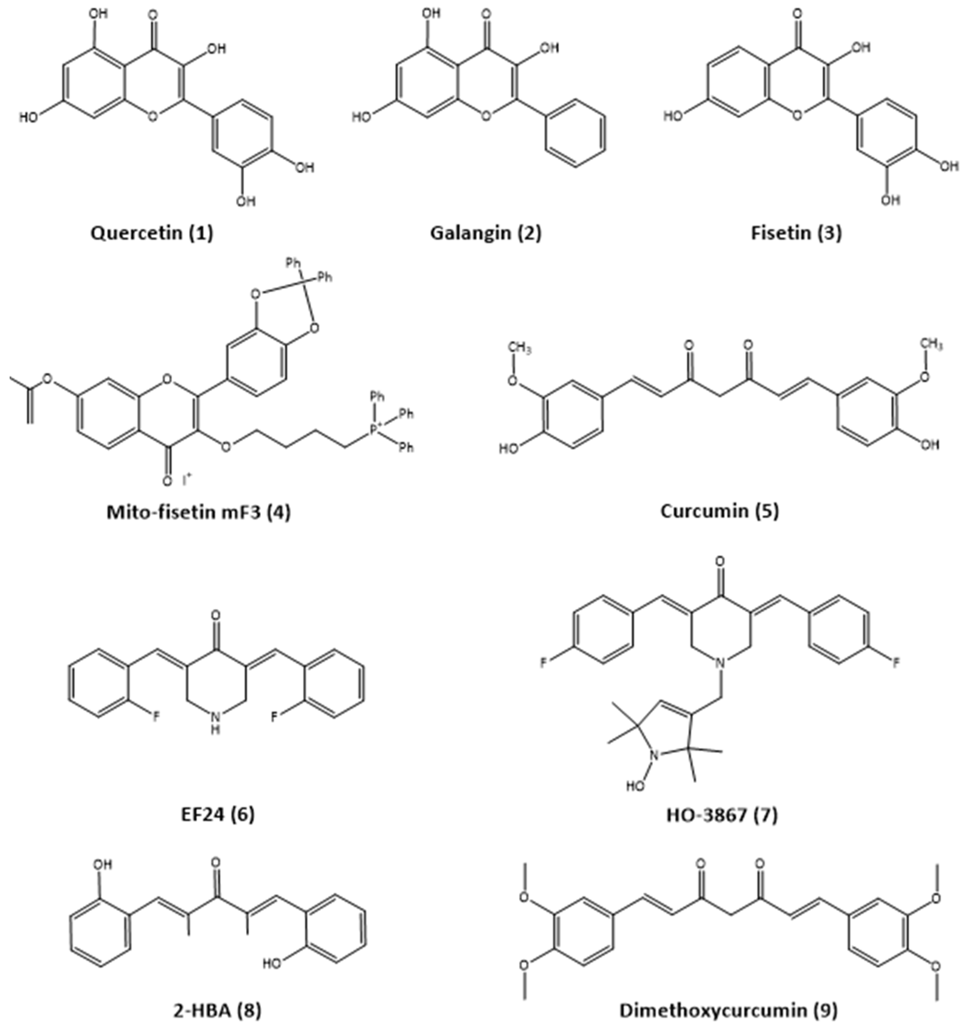 Antioxidants 14 00199 g002