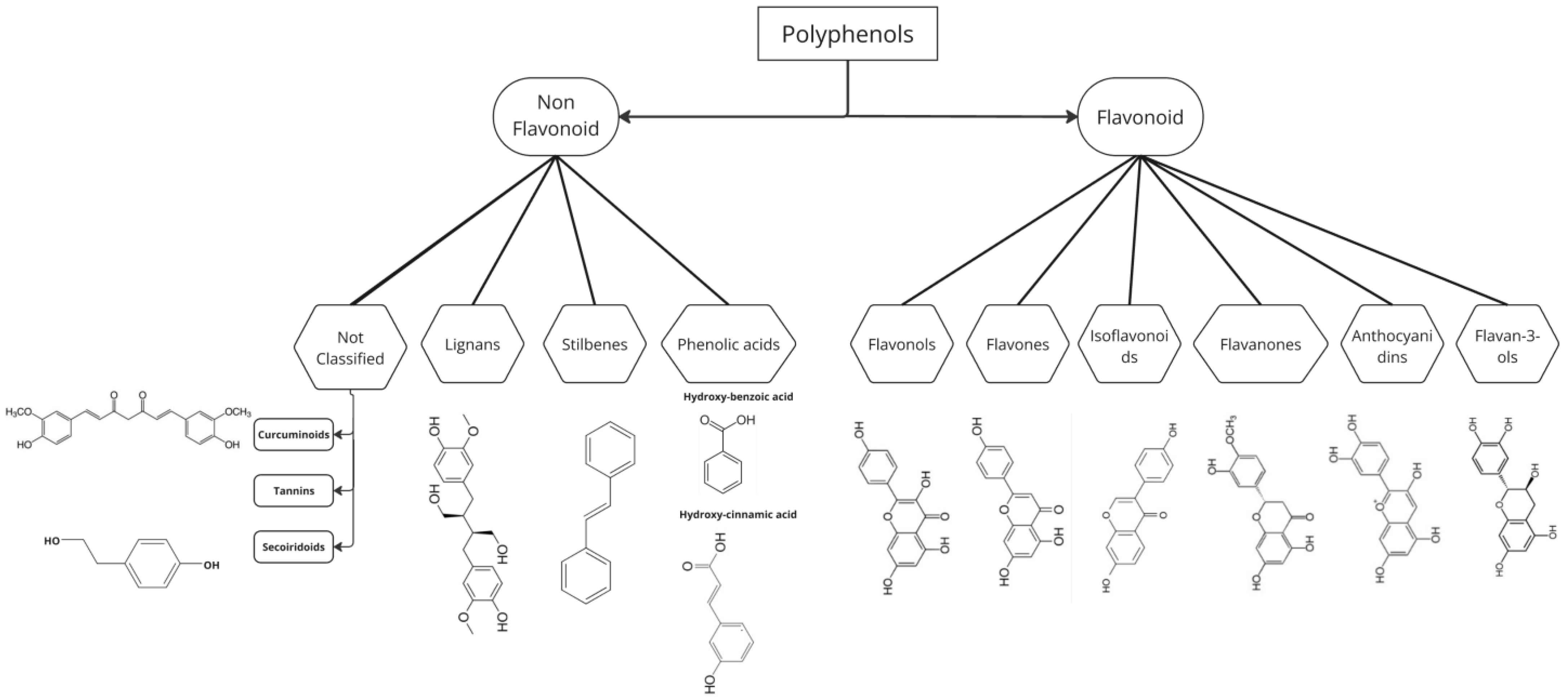 Antioxidants 14 00200 g001
