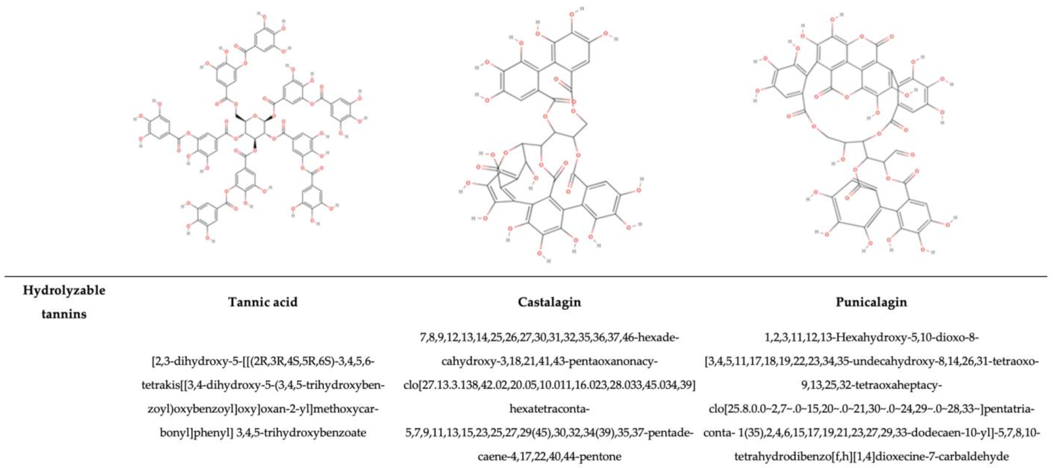 Antioxidants 14 00200 g014