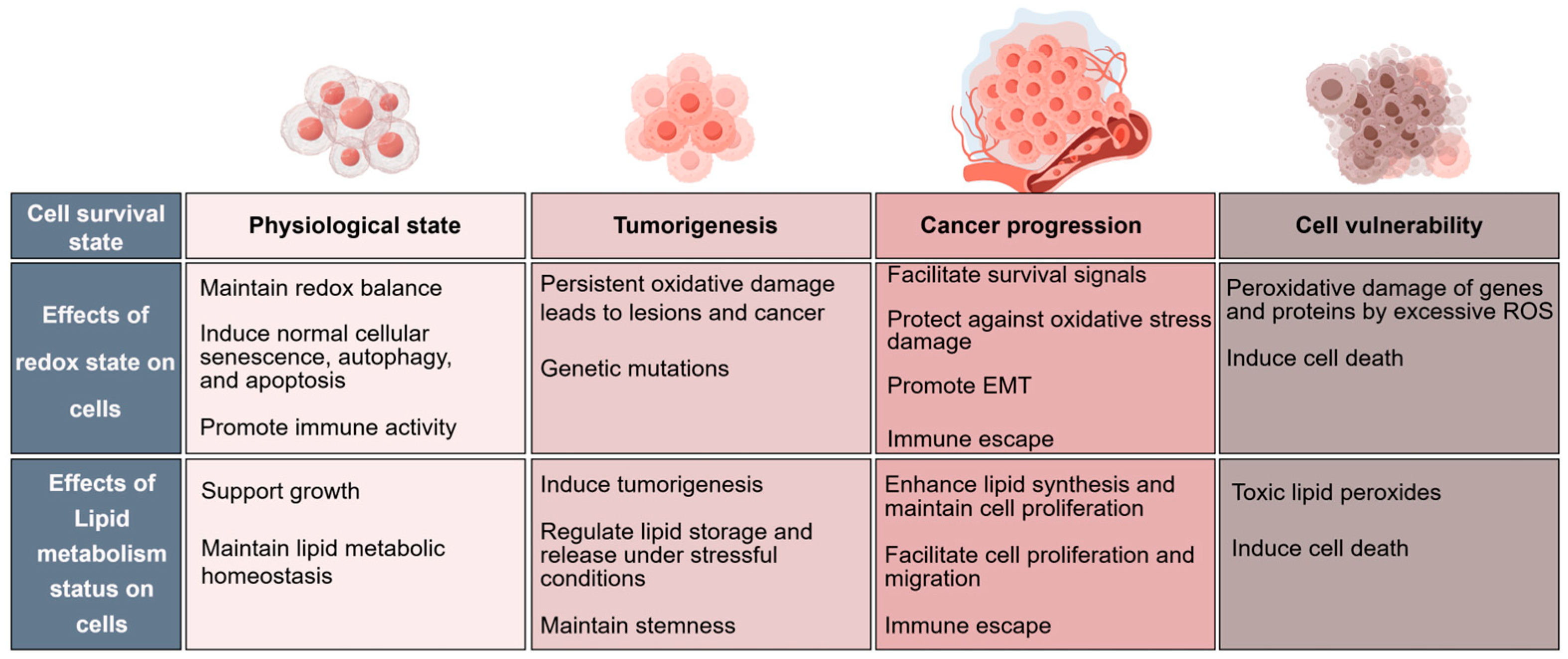 Antioxidants 14 00201 g004