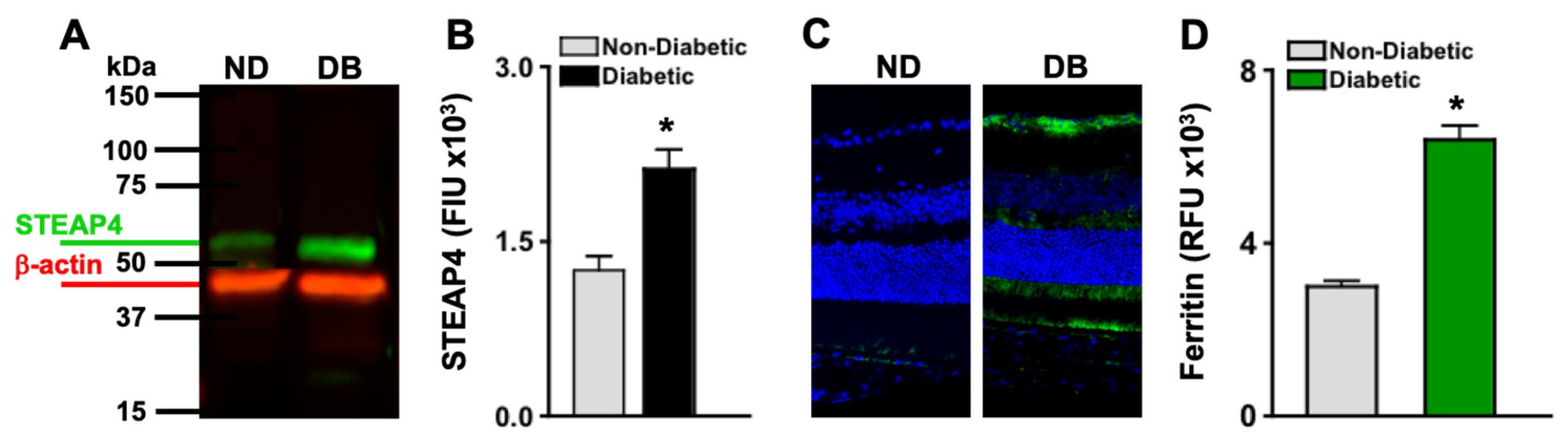 Antioxidants 14 00205 g002