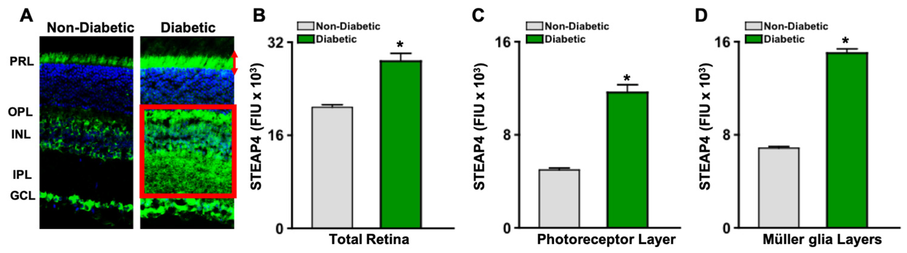 Antioxidants 14 00205 g003
