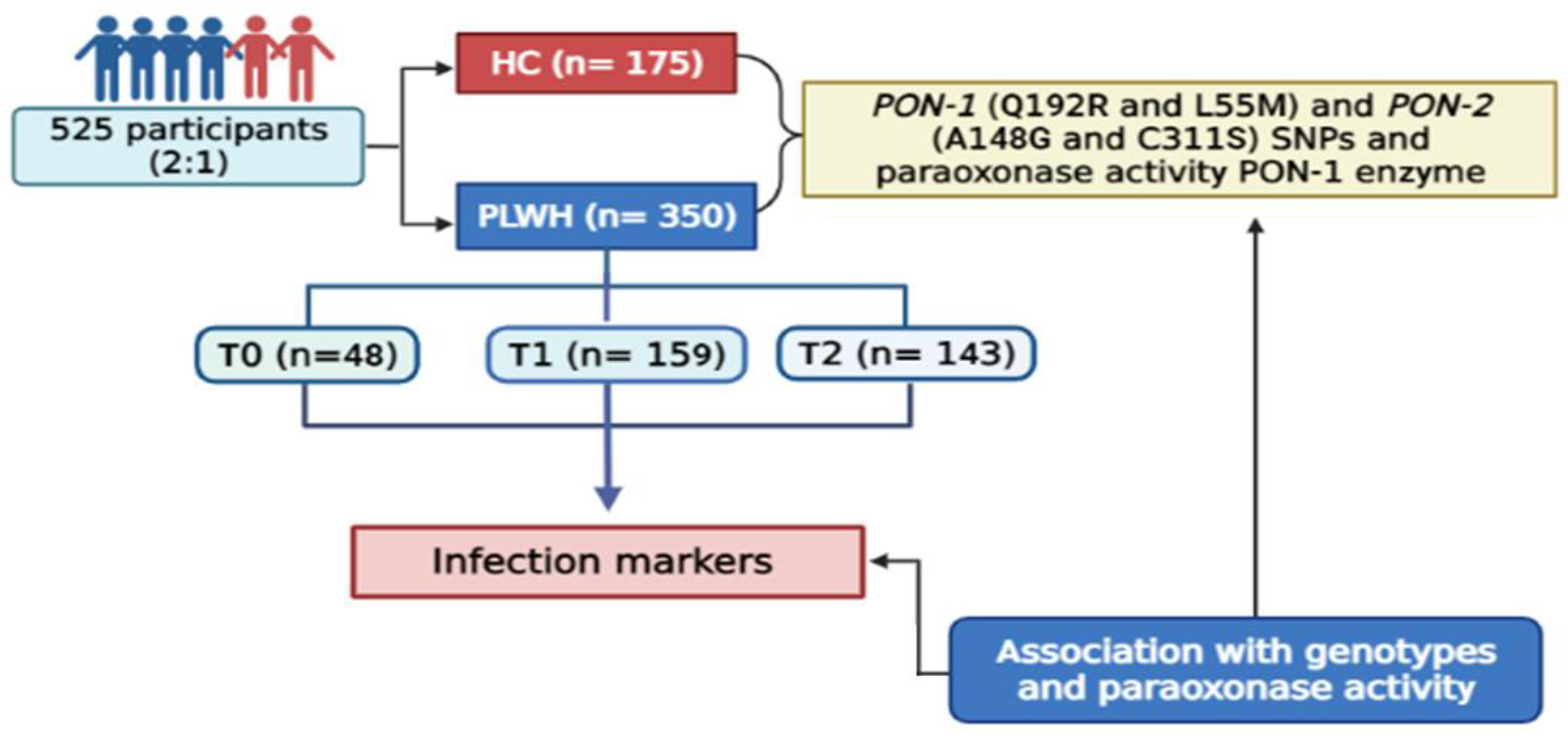 Antioxidants 14 00209 g001 Antioxidants 14 00209 g001
