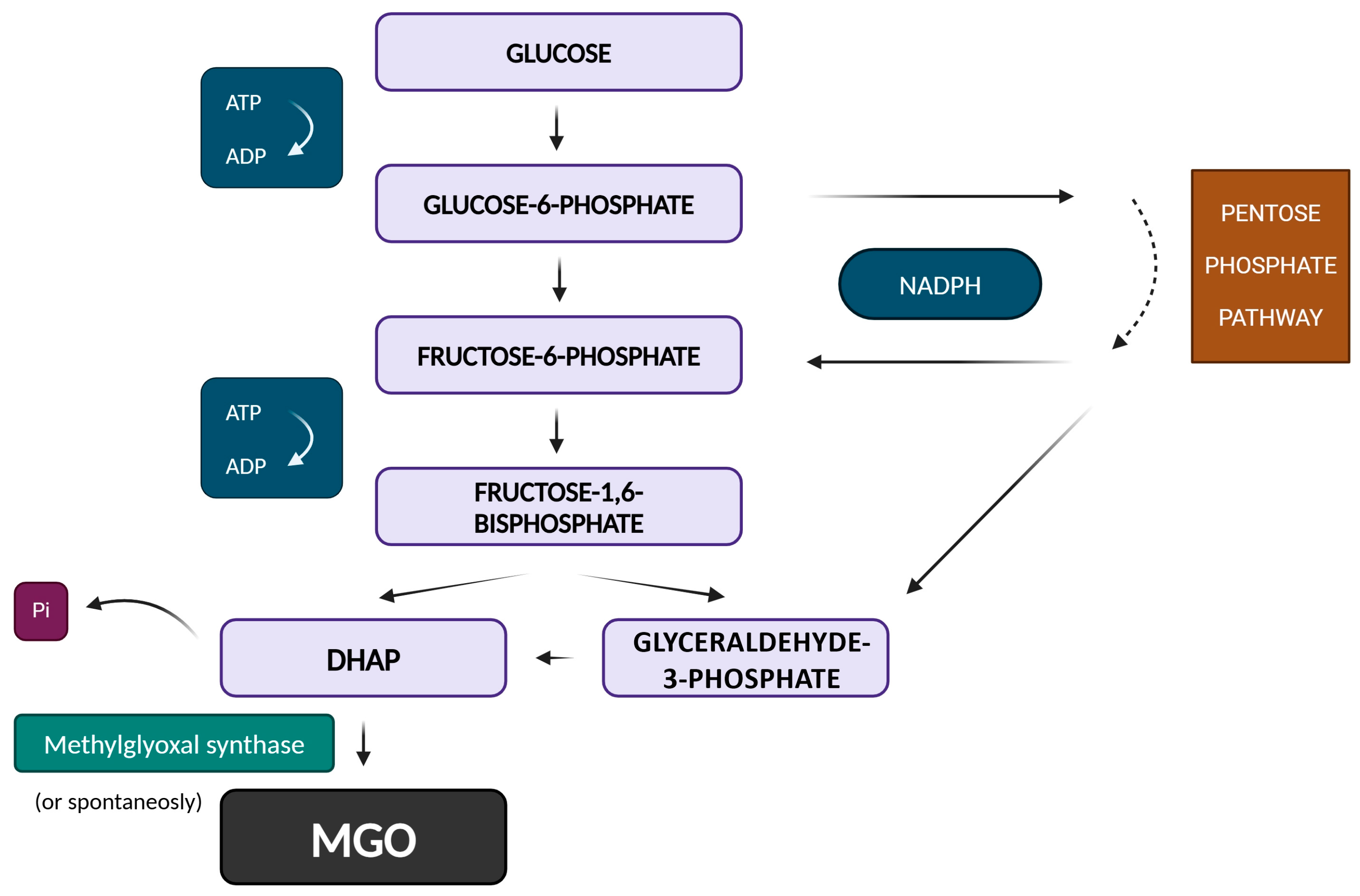 Antioxidants 14 00212 g002