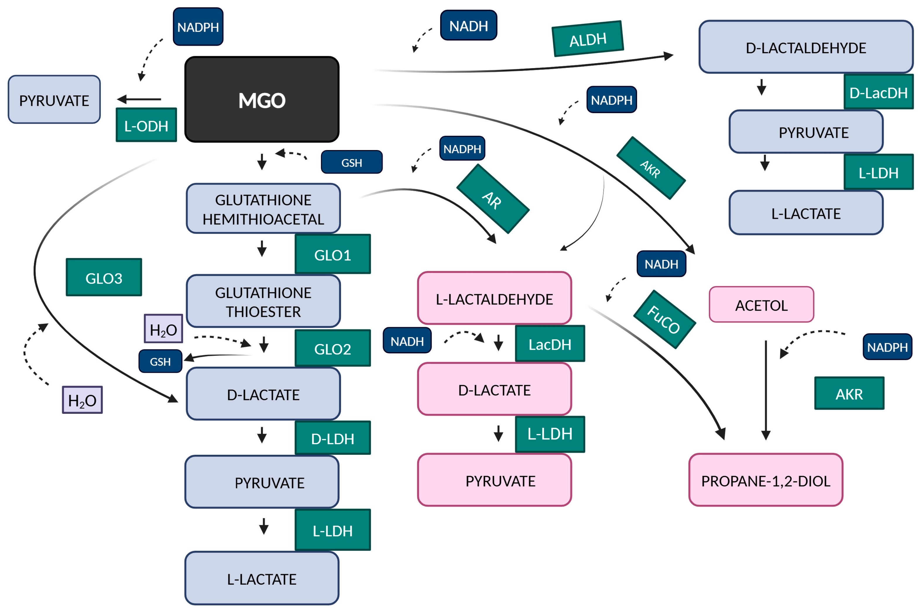Antioxidants 14 00212 g003
