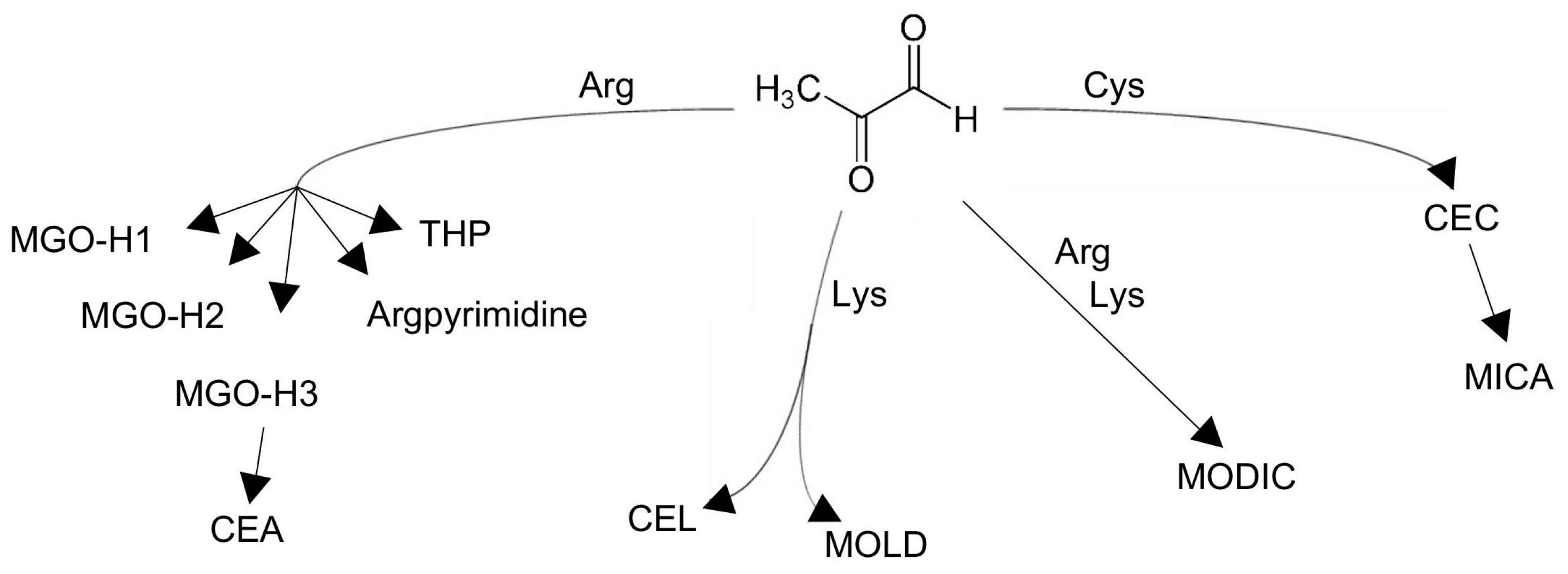Antioxidants 14 00212 g005