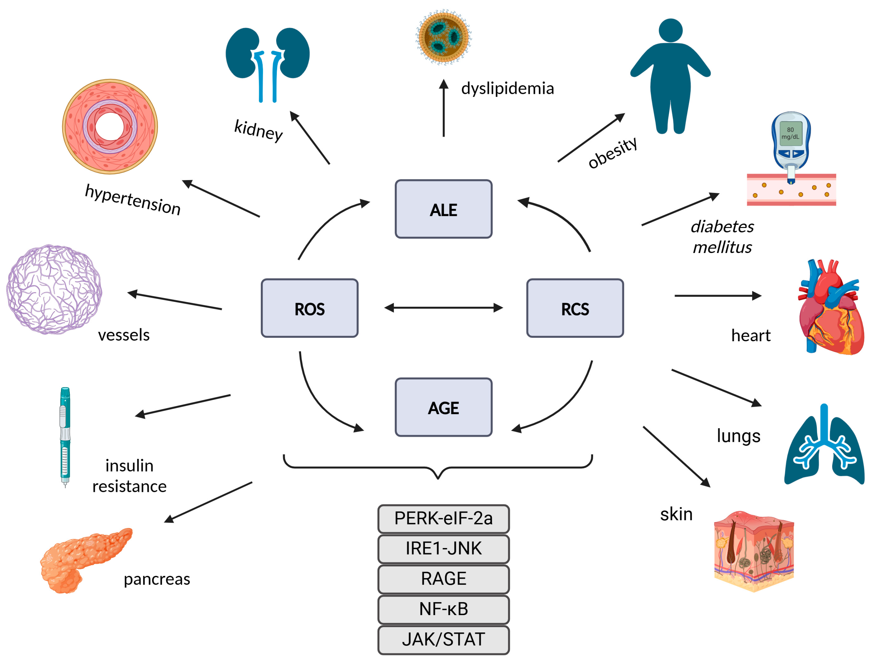 Antioxidants 14 00212 g006