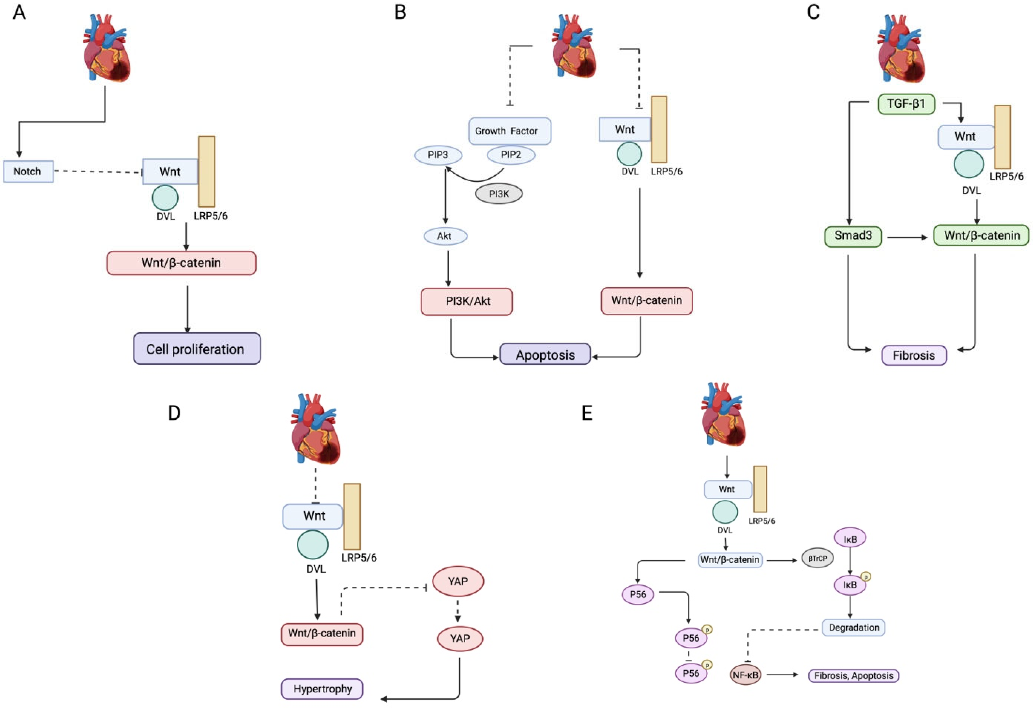 Antioxidants 14 00213 g001