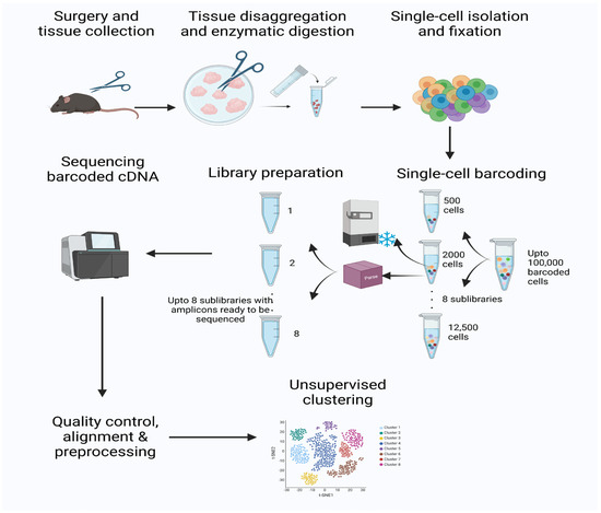 Antioxidants 14 00214 g002