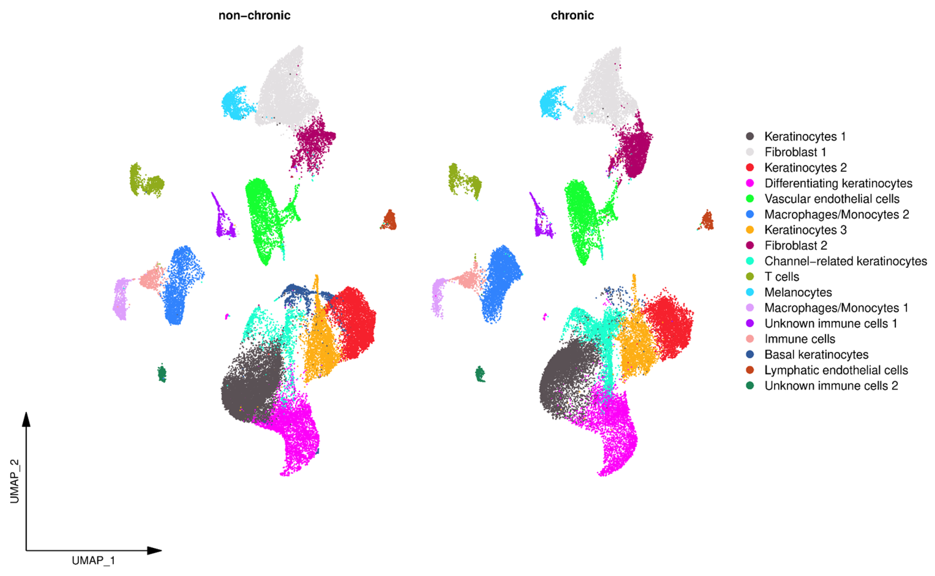 Antioxidants 14 00214 g004