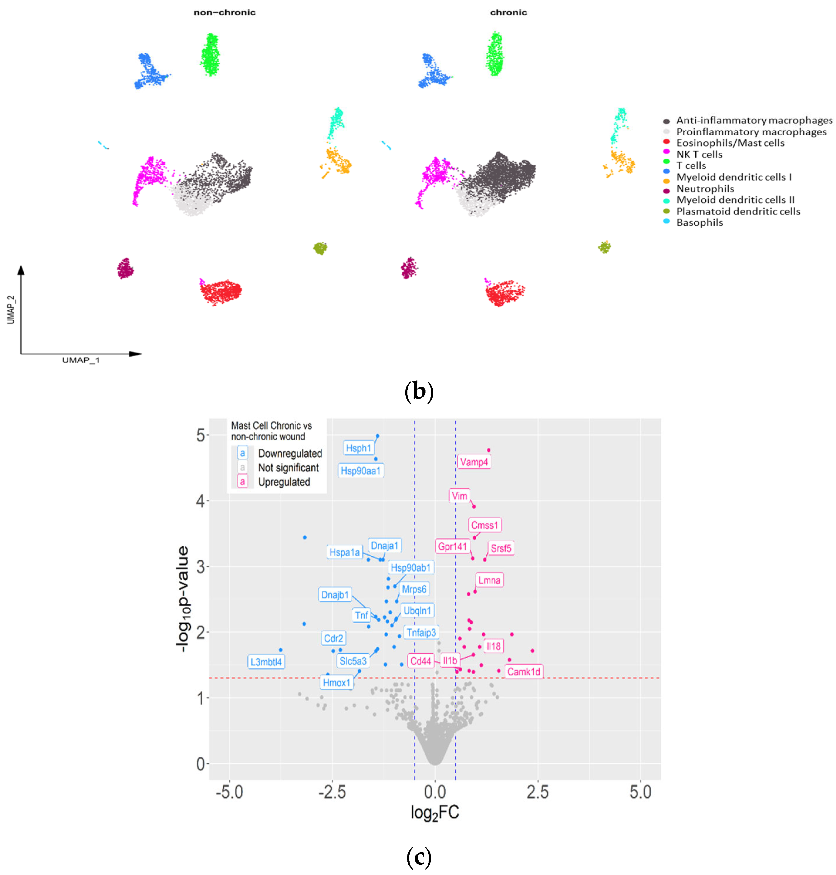 Antioxidants 14 00214 g009b