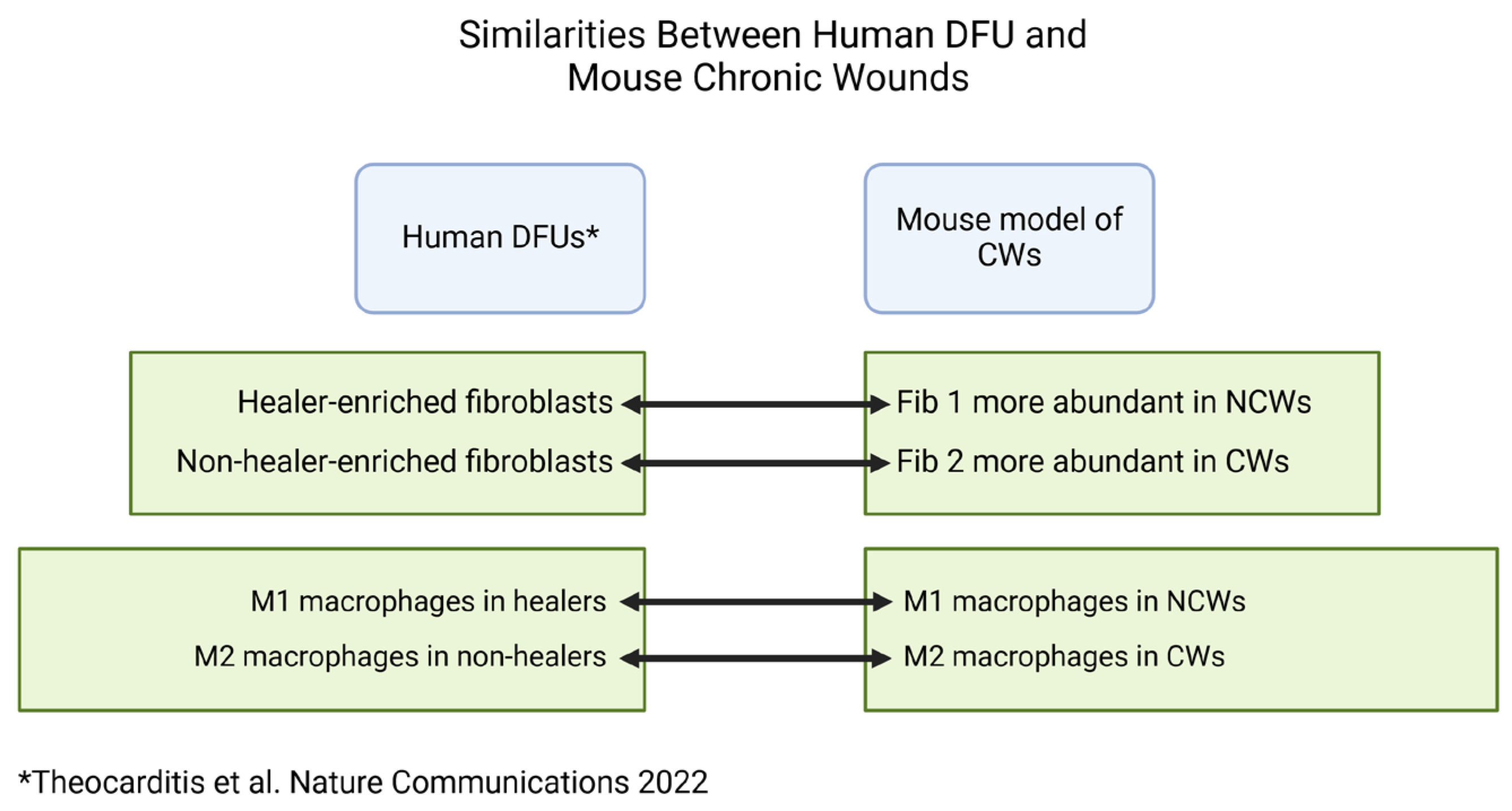 Antioxidants 14 00214 g011