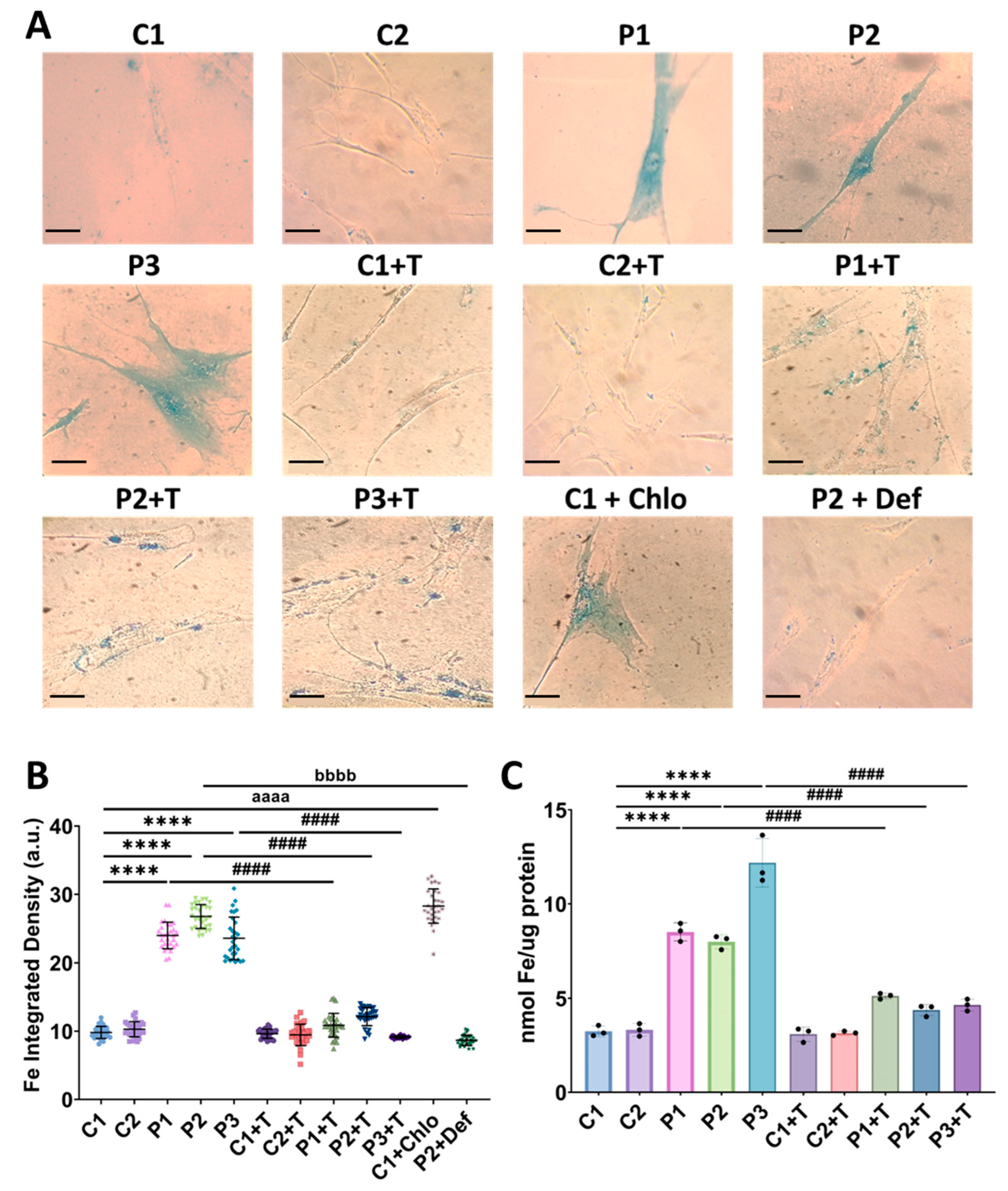 Antioxidants 14 00215 g002