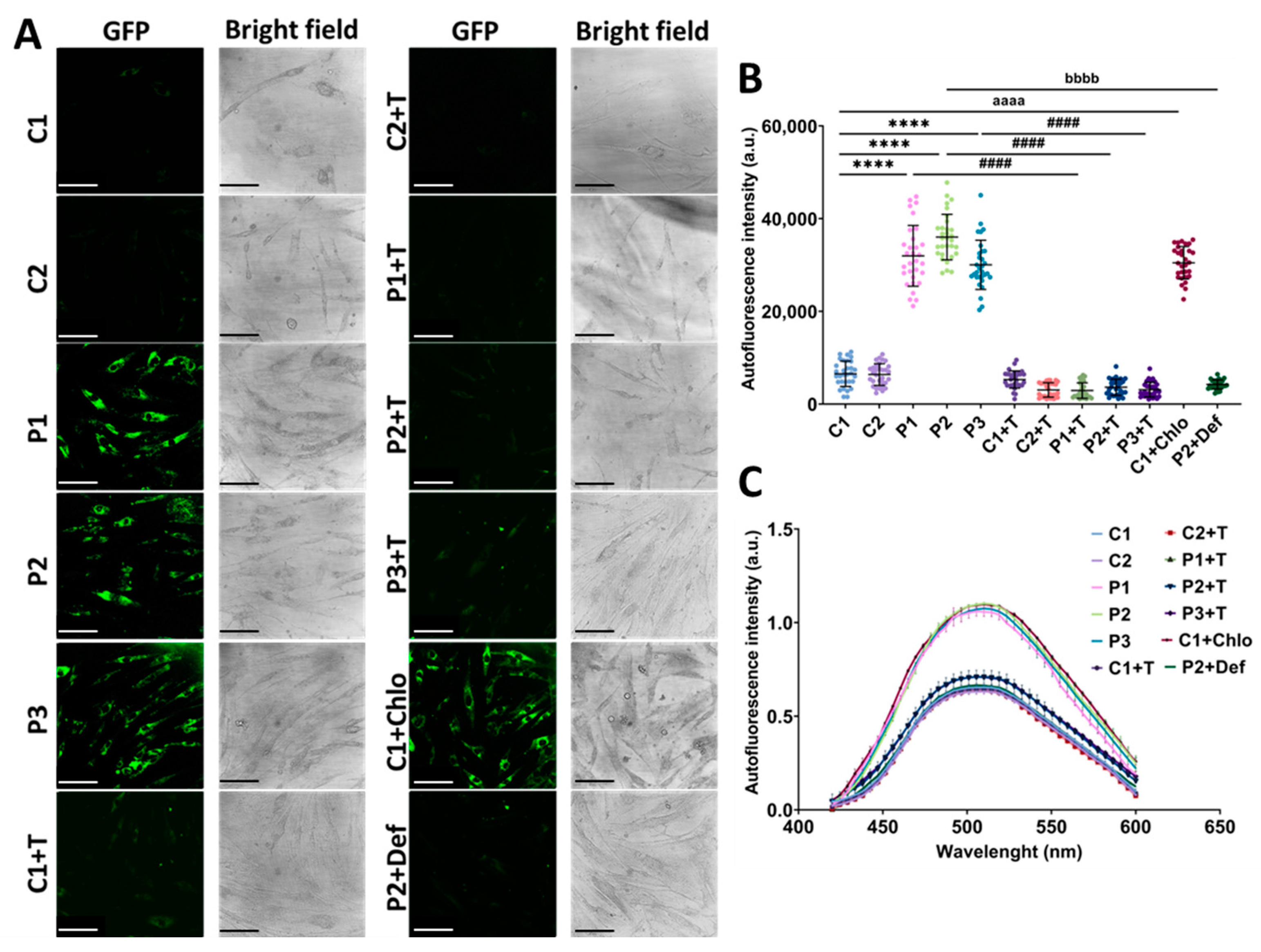 Antioxidants 14 00215 g003