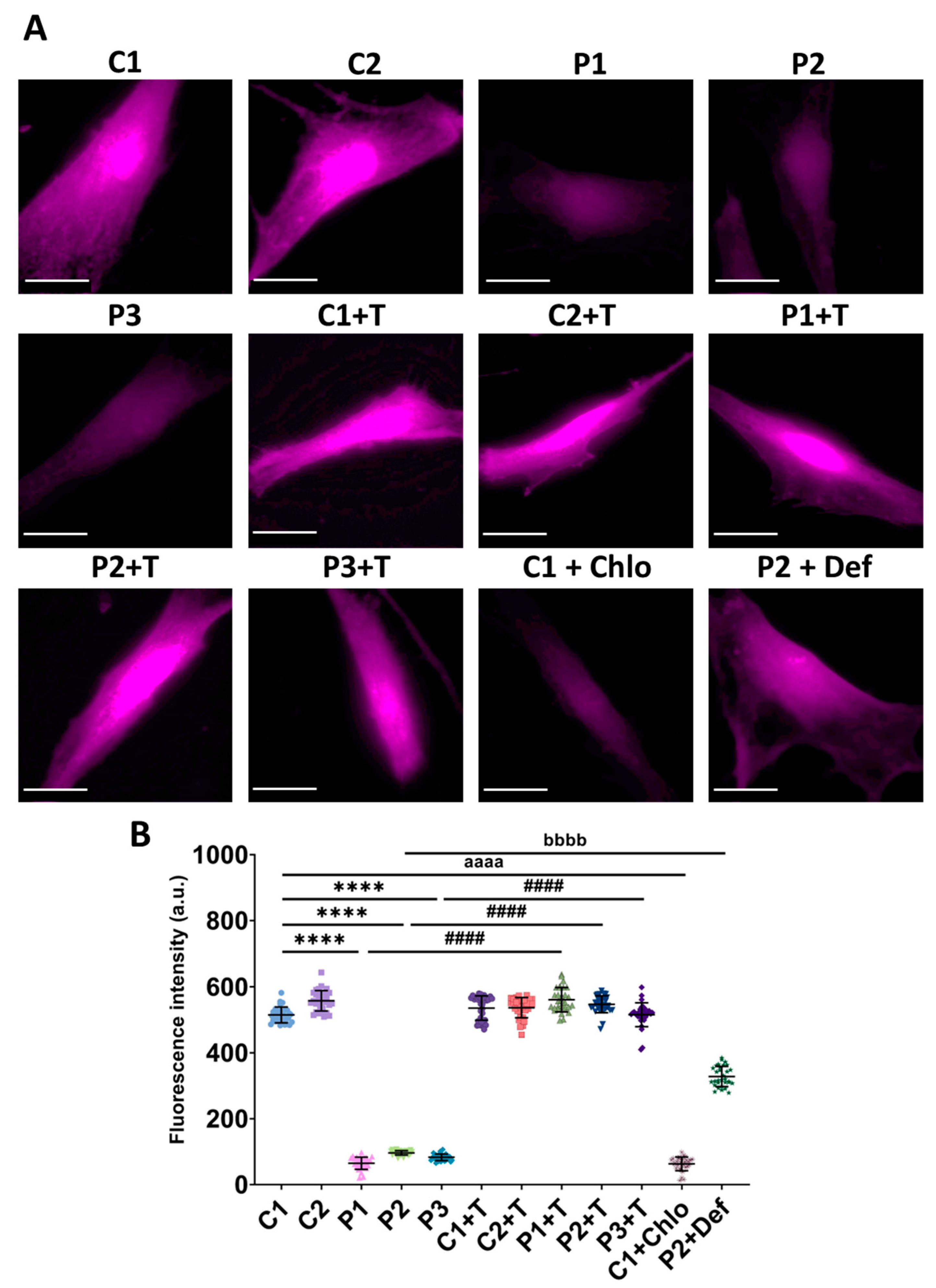 Antioxidants 14 00215 g008